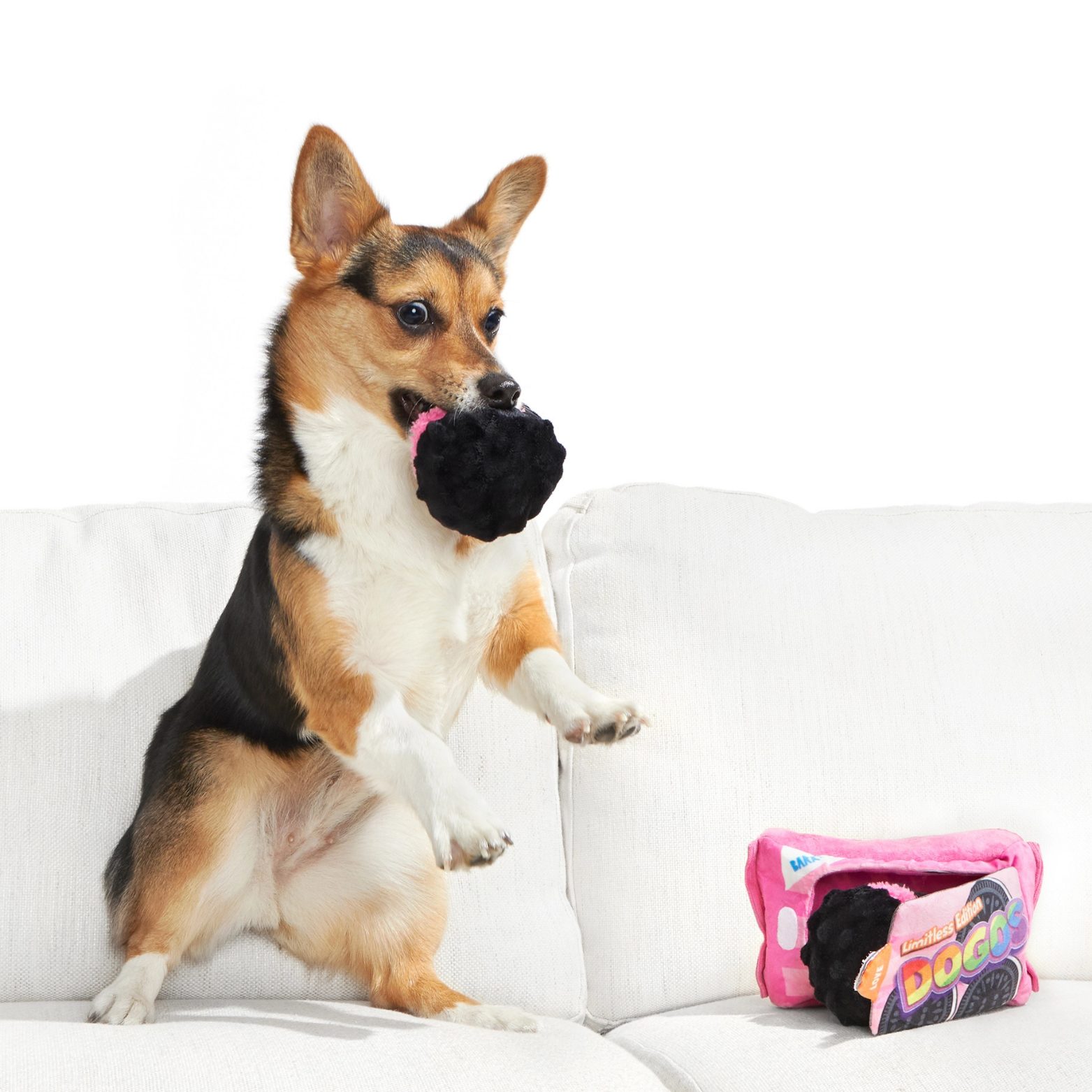 BARK Rainbow Dogo Dunkers Squeaky Plush Dog Toy