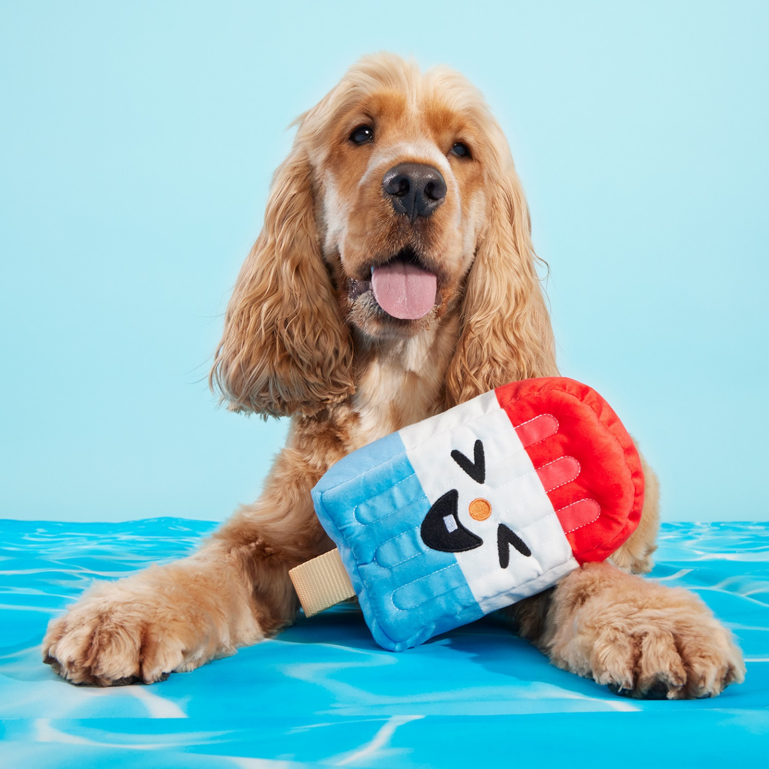 BARK Rocket Droolsicle Fourth of July Squeaky Plush Dog Toy