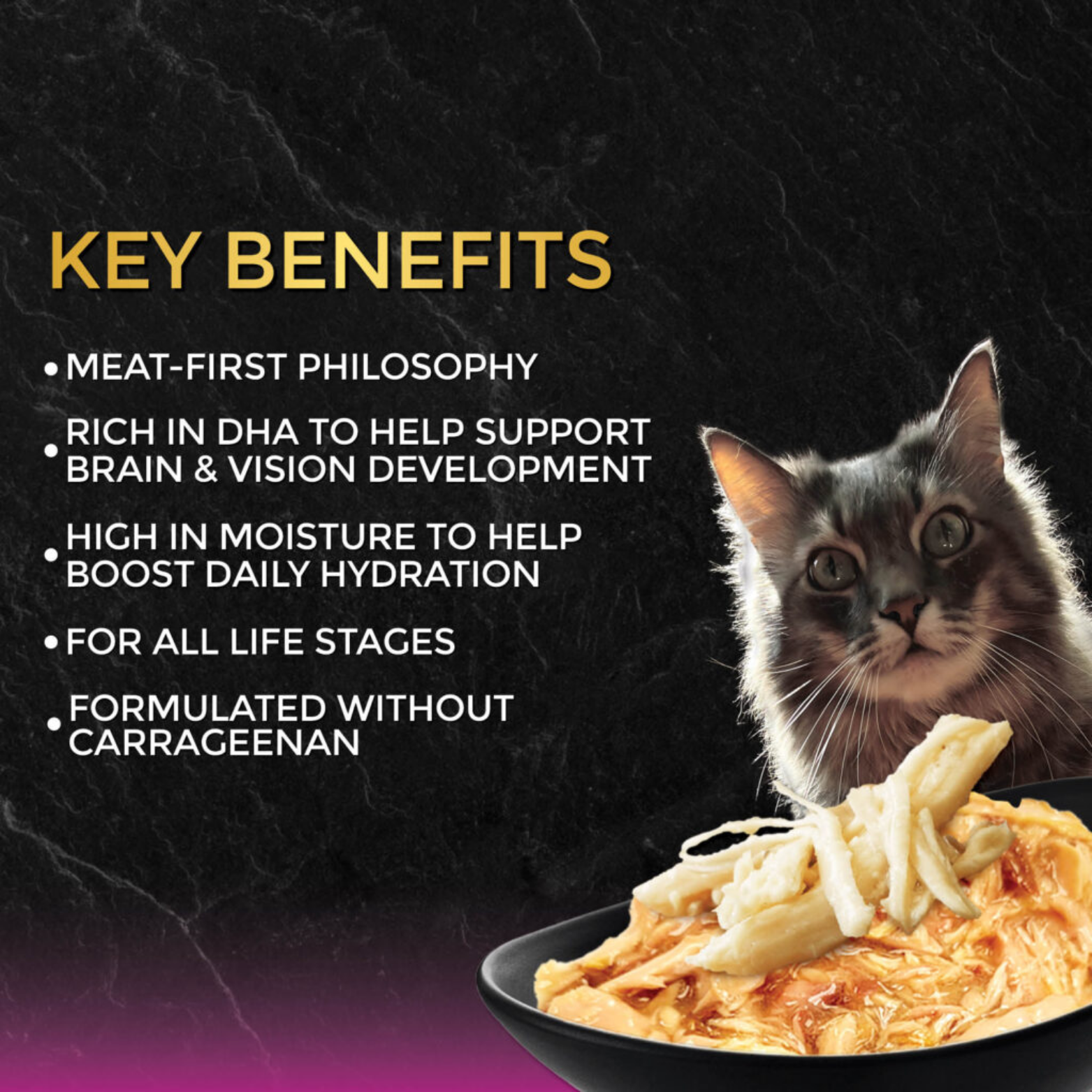Fussie Cat Black Label Tuna with Chicken Formula in Gravy Canned Cat Food, 2.82-oz