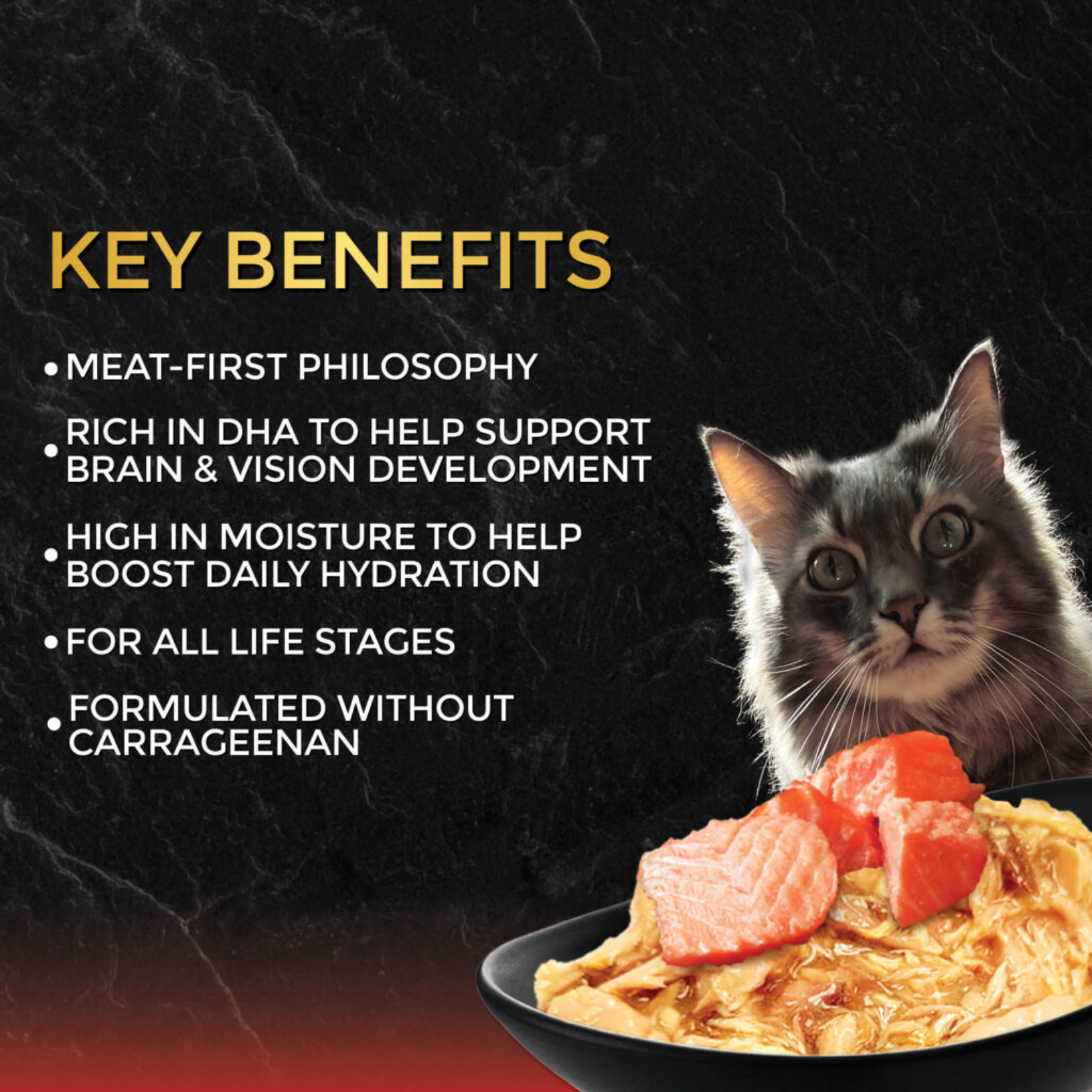 Fussie Cat Black Label Tuna with Salmon Formula in Gravy Canned Cat Food, 2.82-oz