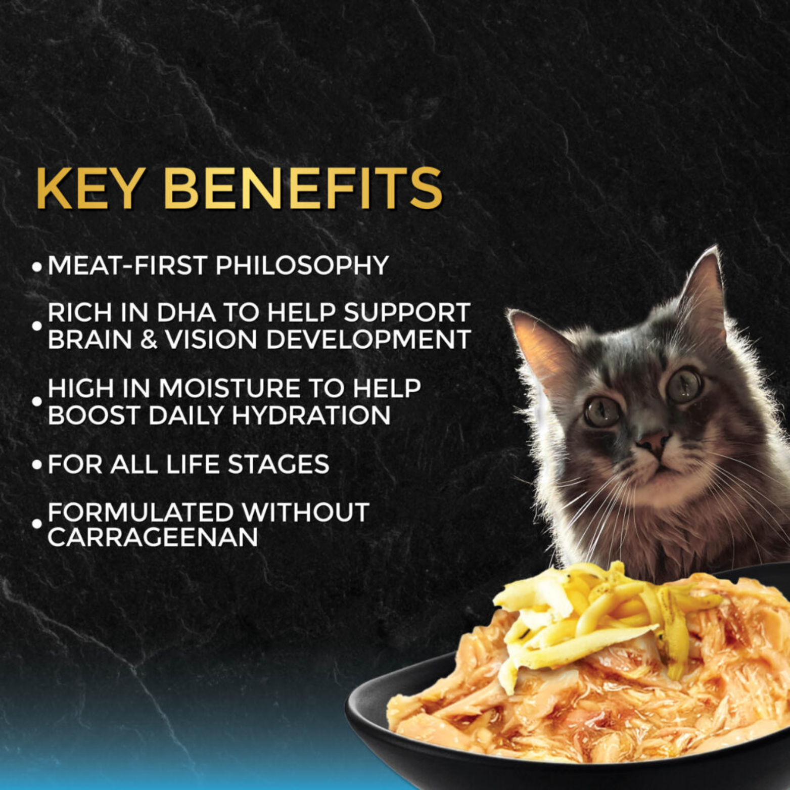 Fussie Cat Black Label Tuna with Small Anchovies Formula in Gravy Canned Cat Food, 2.82-oz
