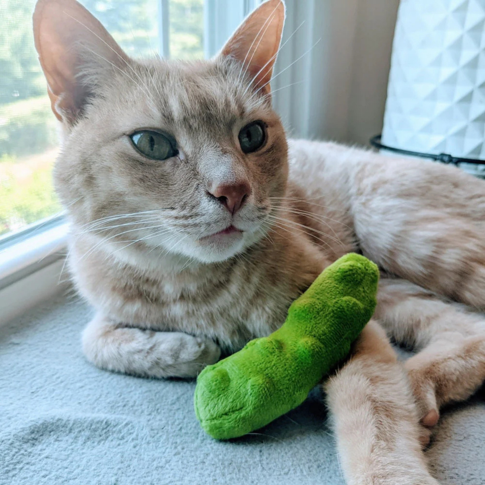 Huxley & Kent Pickle Catnip Cat Toy