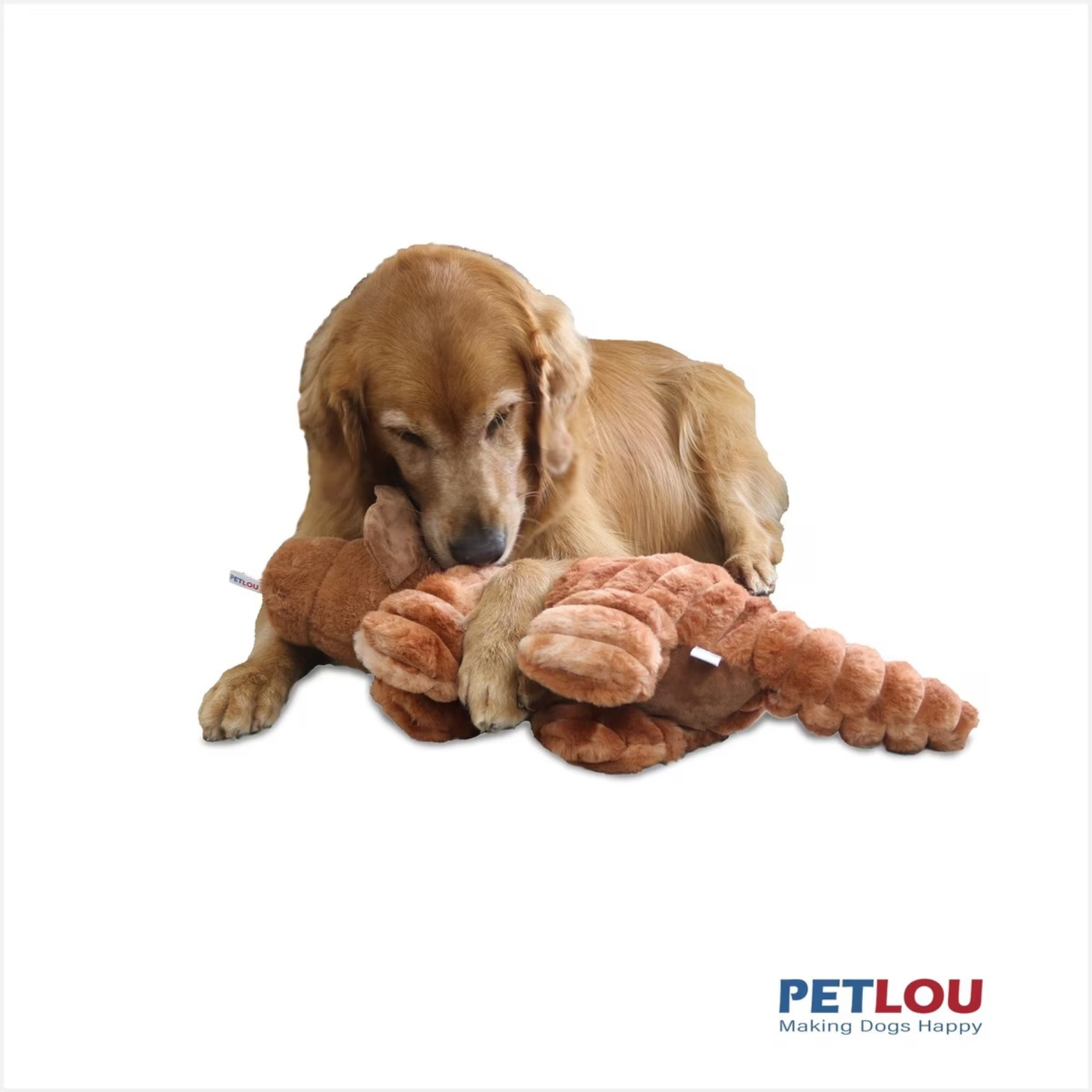 Petlou Ripples Dino Friends Triceratops Dog Toy 26"