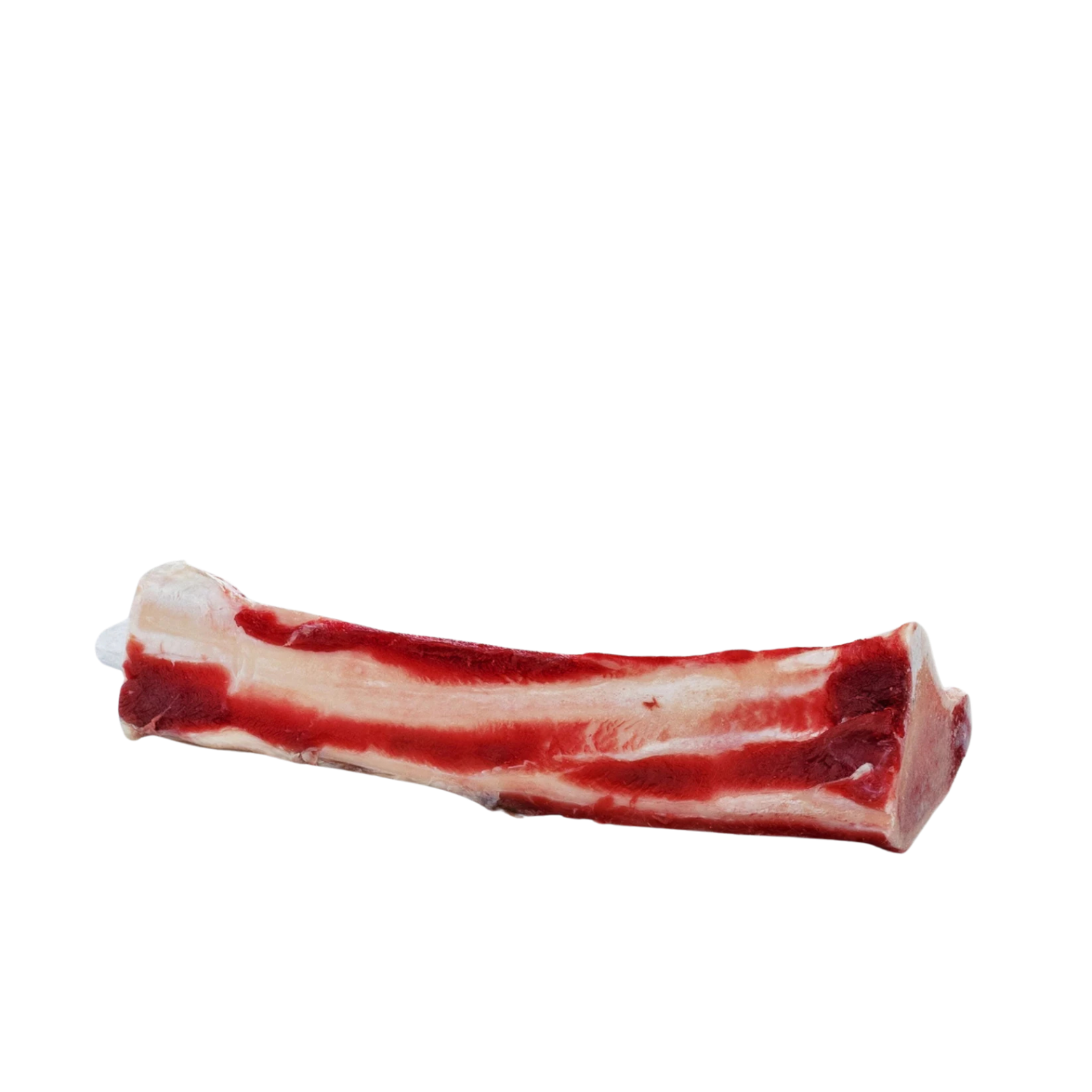 Close-up of a single raw buffalo marrow bone center cut with visible red meat and white bone structure, isolated on a black background.