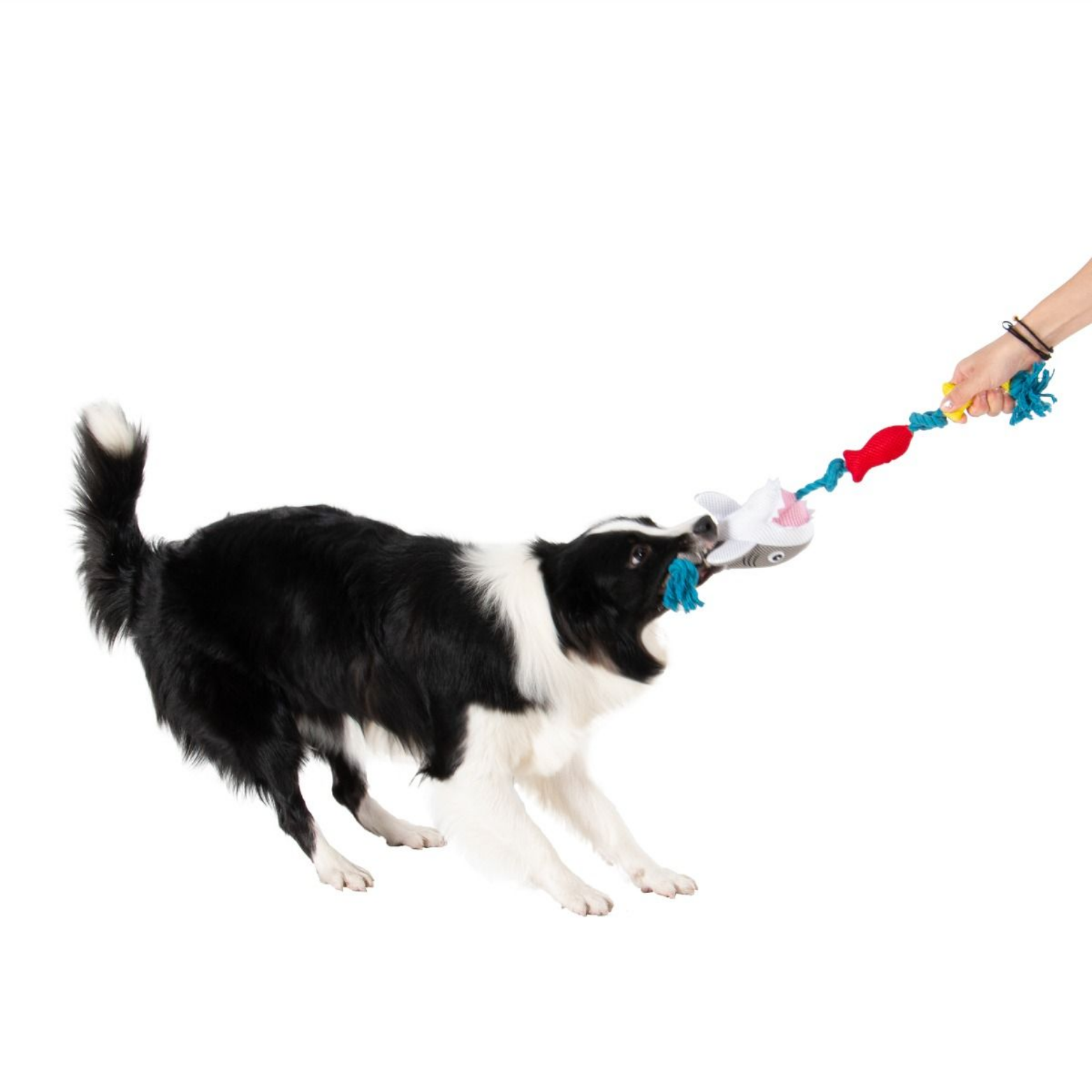 Territory Dog Rope Tug Toy Shark - 20 inches