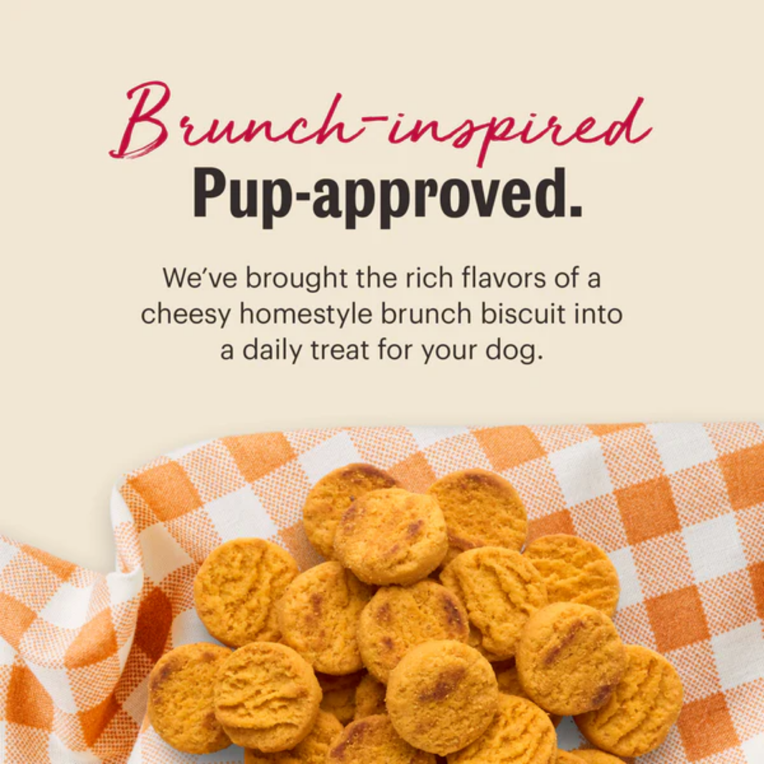 The Honest Kitchen Cheddar Biscuits Crunchy Dog Treats, 3.5 oz