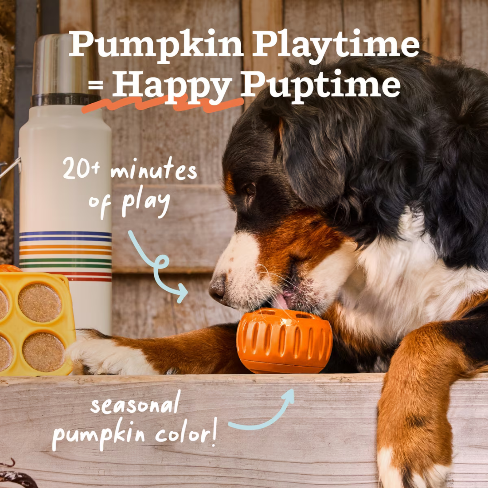 Woof Pet Pupsicle Pumpkin Dog Toy