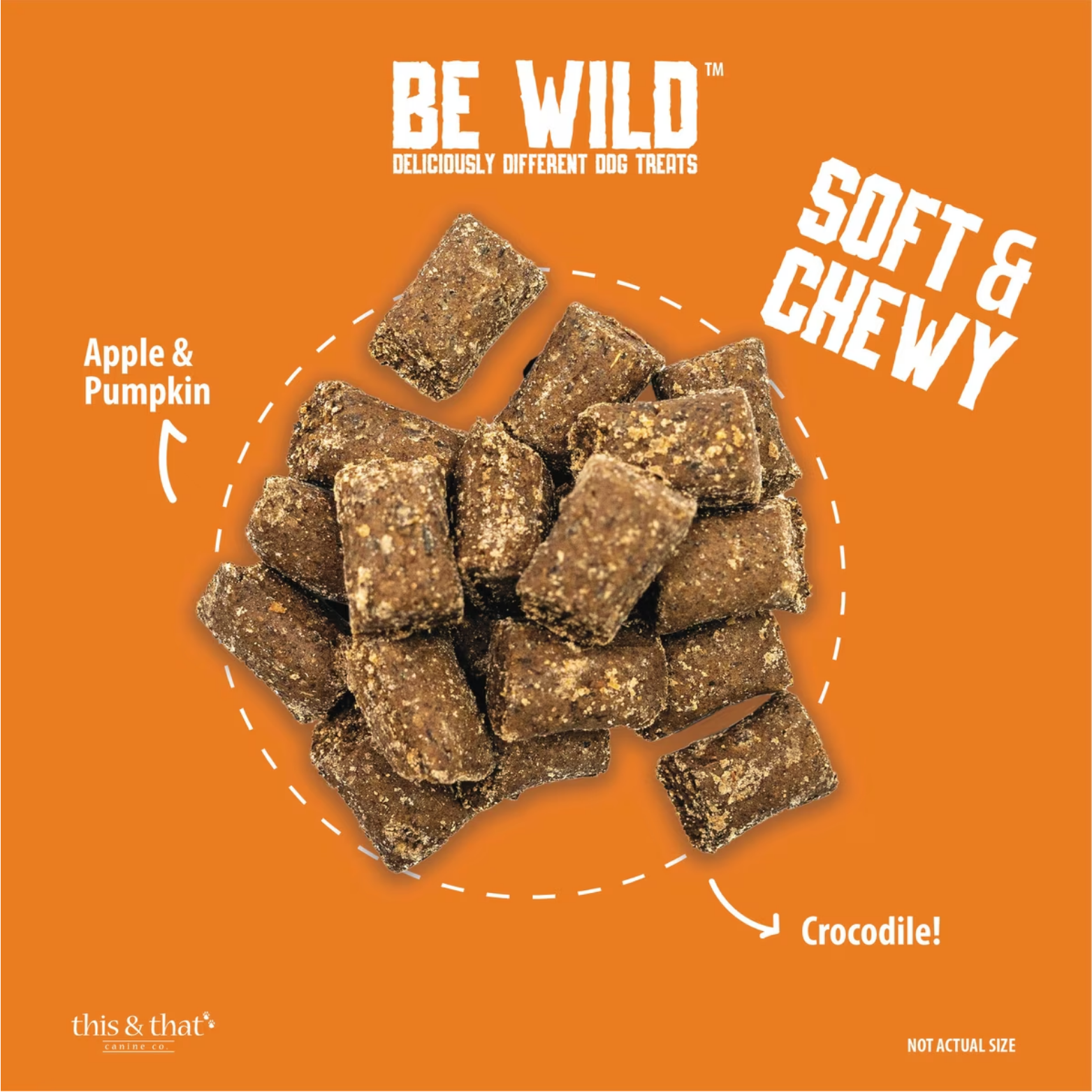 This & That Be Wild Exotic Treats & Trainers Crocodile Dog Treats 5.3oz
