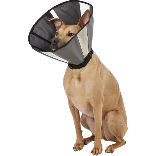 ZenPet E-Clear Recovery Dog & Cat Collar