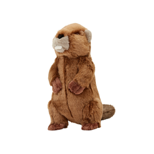 Fluff & Tuff Troy Beaver 9" Plush Dog Toy
