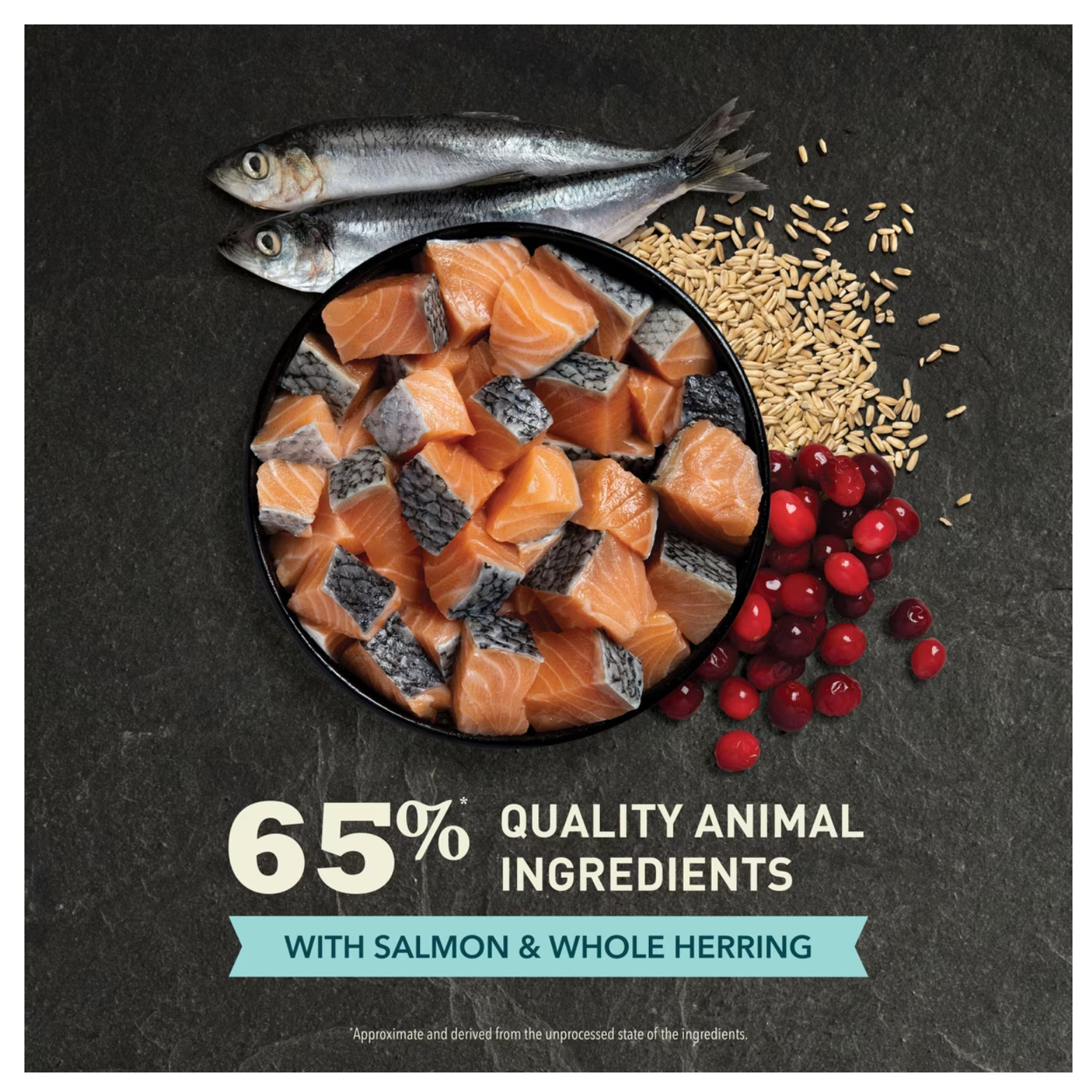 A black bowl filled with diced raw salmon pieces sits on a dark surface beside two whole herring, scattered grains, and red berries. Text reads “65% quality animal ingredients” and “with salmon & whole herring.”