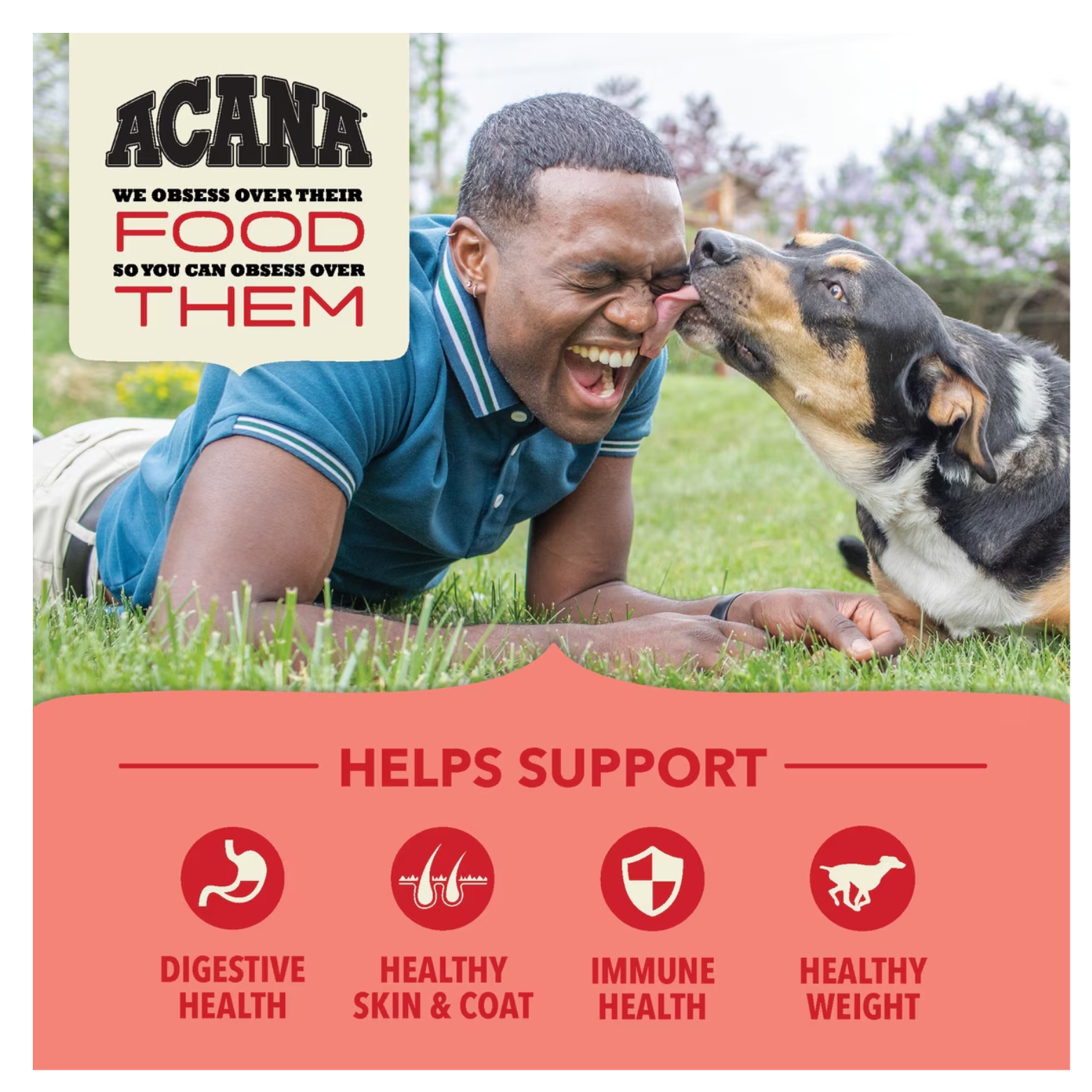 A lifestyle photograph of a man lying in the grass and laughing as a black and tan dog licks his nose. A red banner at the bottom features icons highlighting four supported health benefits: Digestive Health, Healthy Skin & Coat, Immune Health, and Healthy Weight.