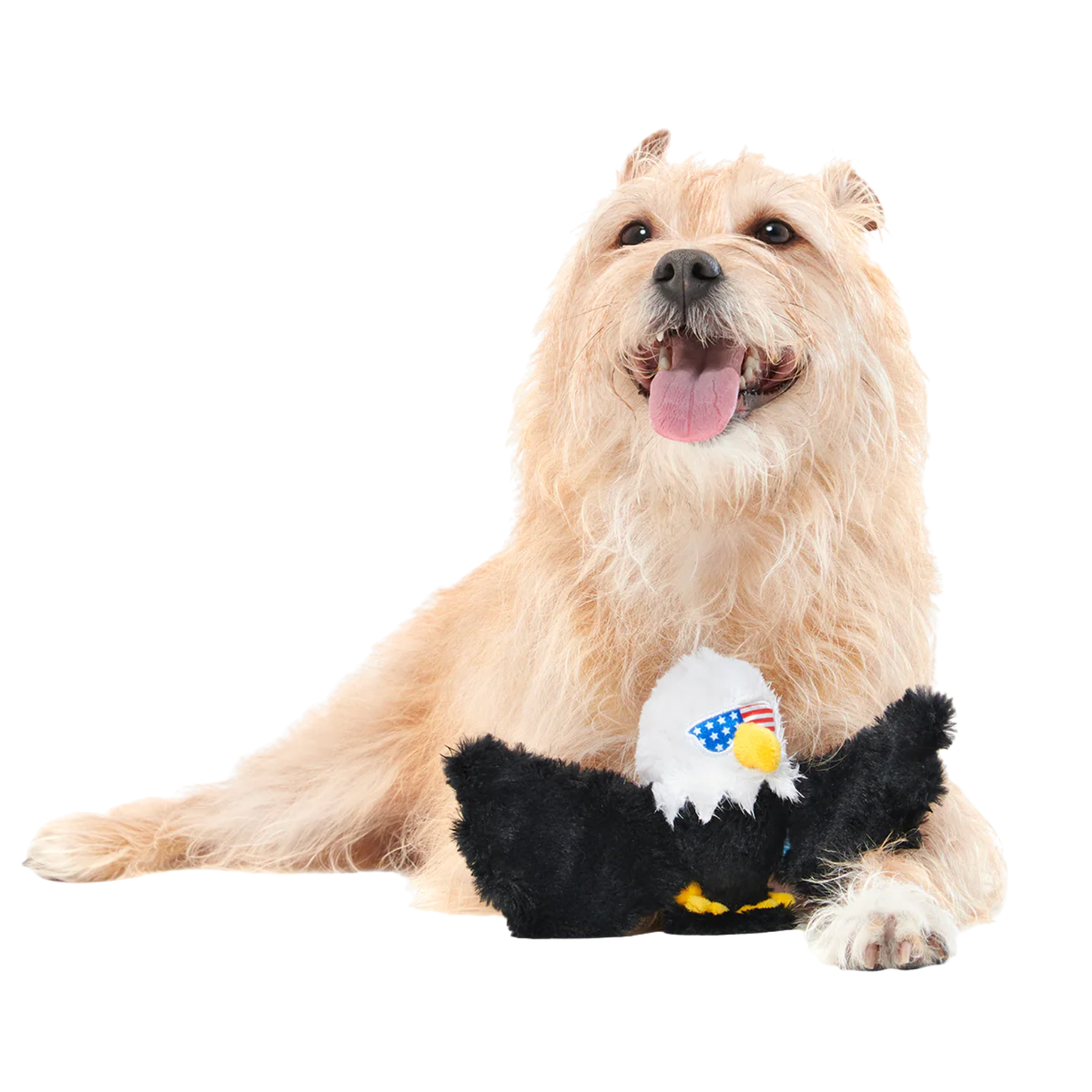 BARK Bold Eagle Plush Tug Dog Toy