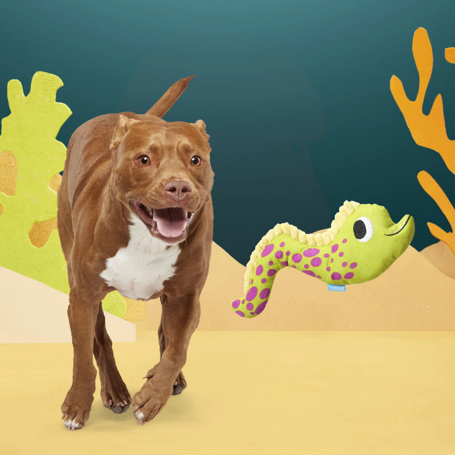 BARK Maury Eel Thrasher Squeaky Plush Dog Toy
