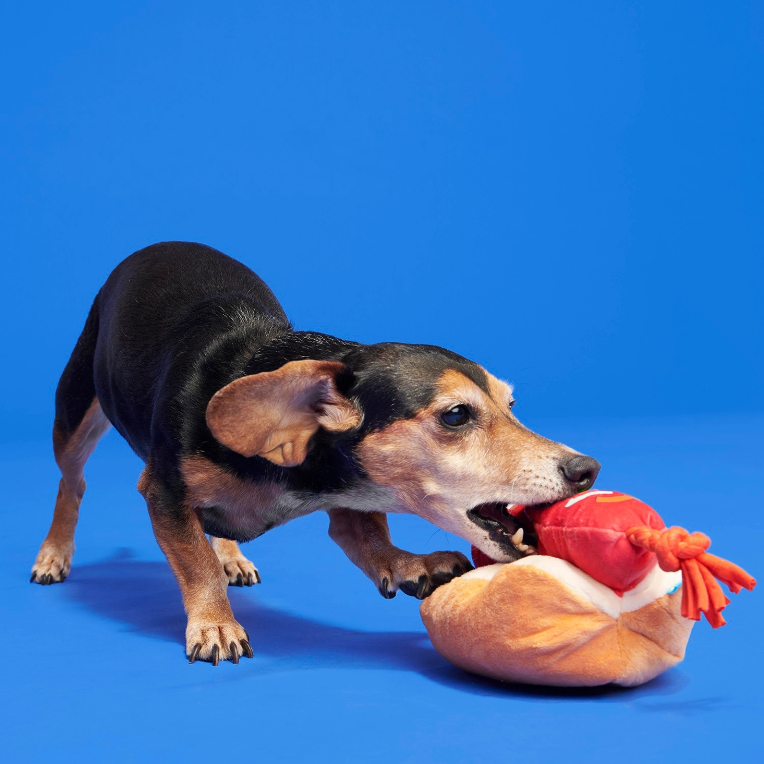 BARK the Everything Dog Fourth of July Bbq Squeaky Plush Dog Toy