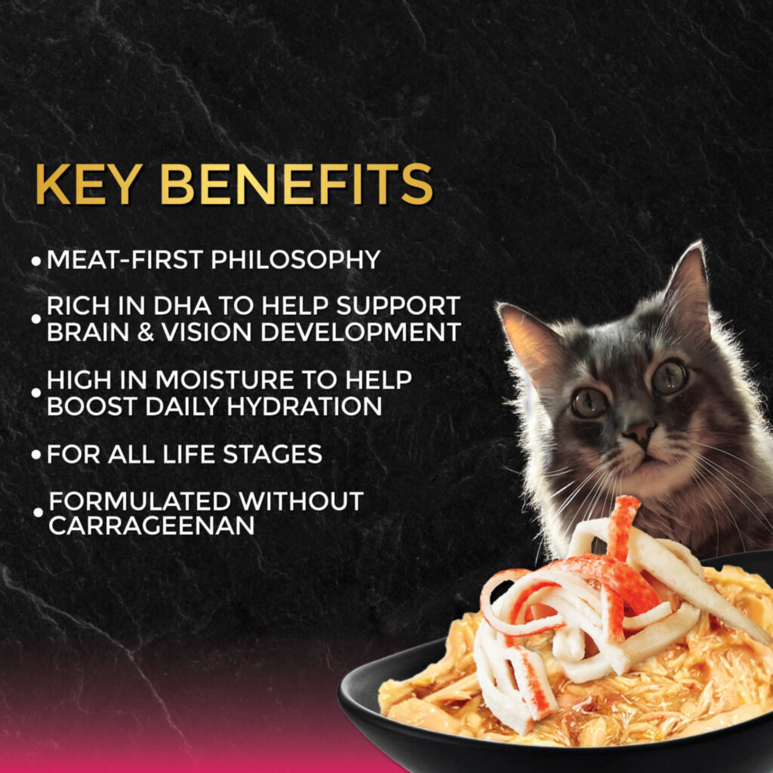 Fussie Cat Black Label Tuna with Oceanfish Formula in Gravy Canned Cat Food, 2.82-oz