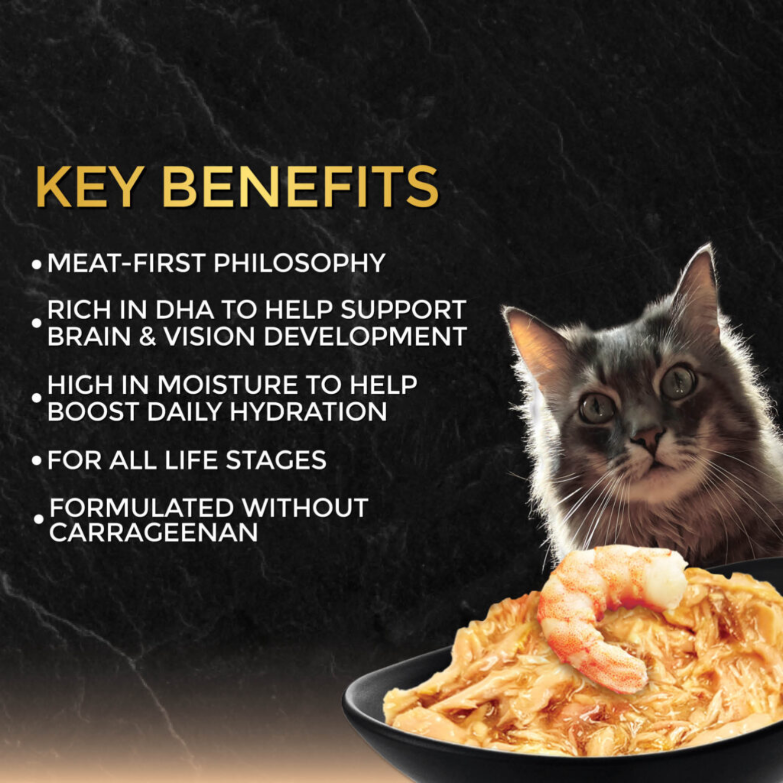 Fussie Cat Black Label Tuna with Prawns Formula in Gravy Canned Cat Food, 2.82-oz
