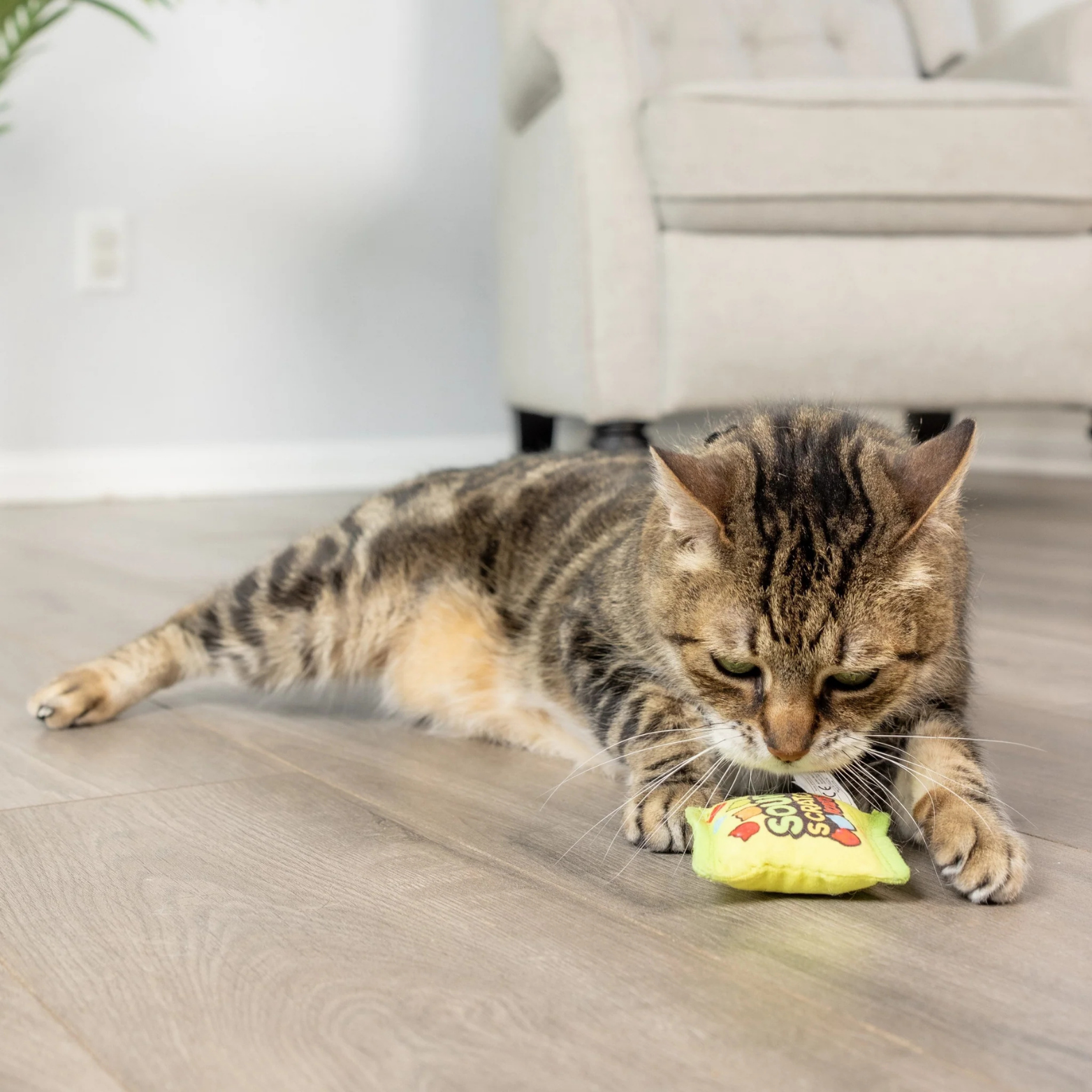 Huxley & Kent Sour Scratch Kats Cat Toy