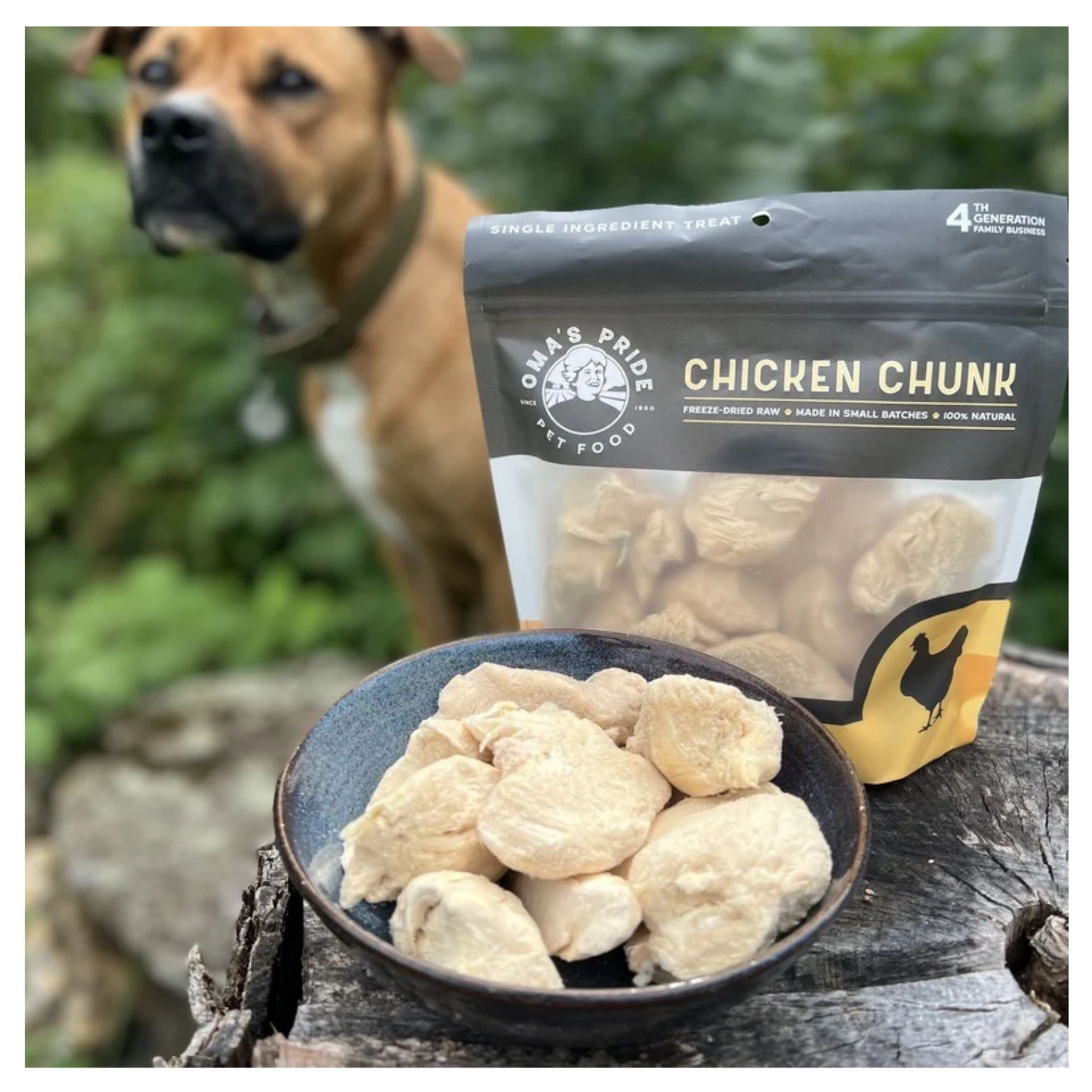 A bowl filled with freeze-dried chicken chunks sits on a tree stump beside a bag of Oma’s Pride Chicken Chunk treats, with a brown dog blurred in the background outdoors.