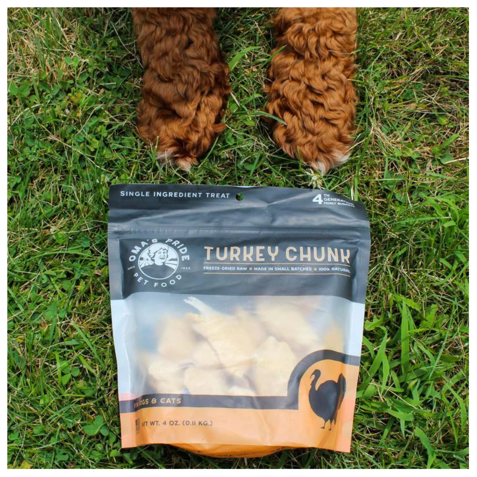 Package of Oma’s Pride Turkey Chunk treats placed on grass beneath the front paws of a curly-haired brown dog, with the bag partially transparent showing the freeze-dried chunks inside.