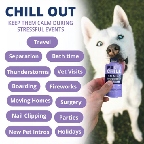 Under The Weather PB & CHILL™ Calming Peanut Butter For Dogs - 6 Packets