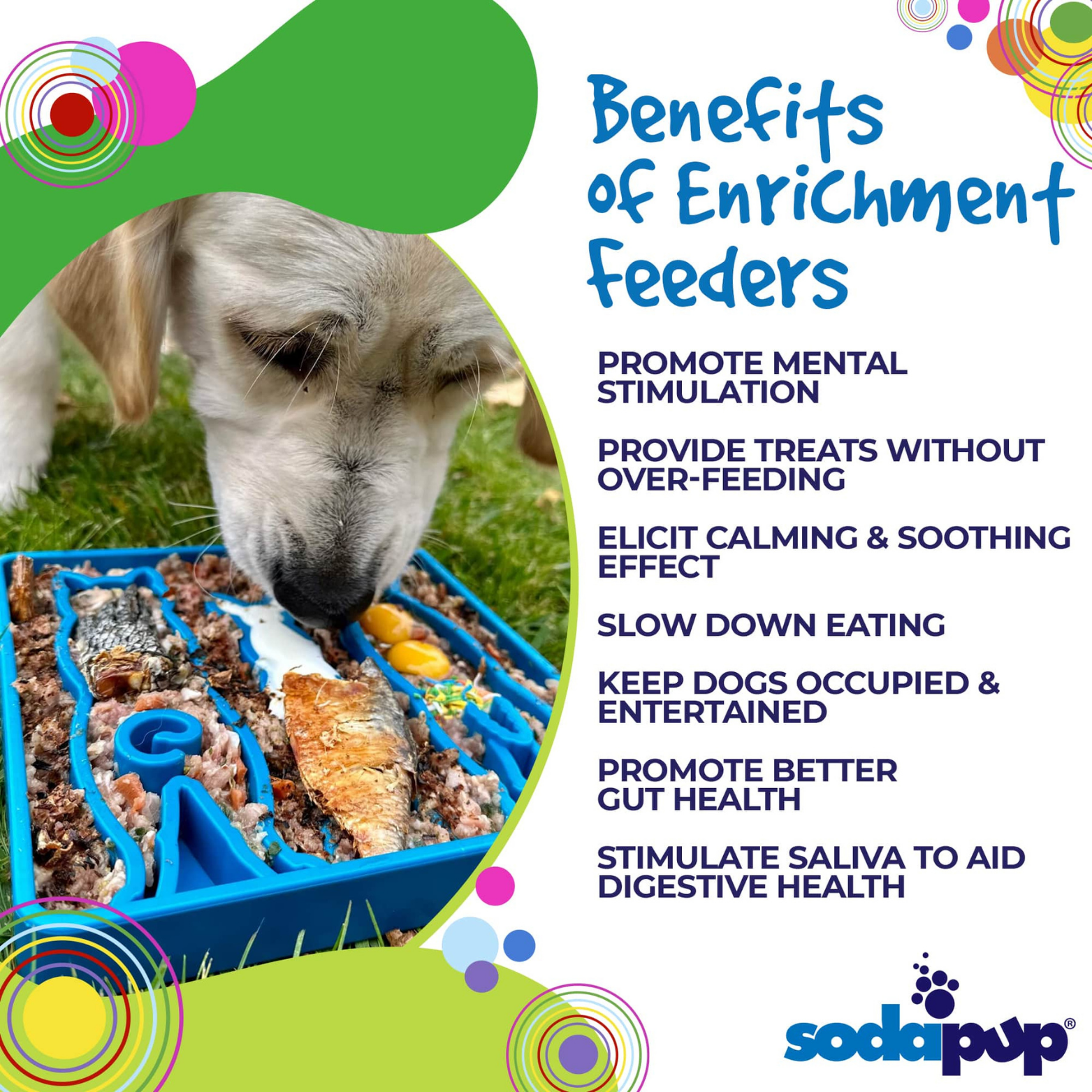 SodaPup Waiting Dogs Design Etray Enriching Shallow Slow Feeder for Dogs