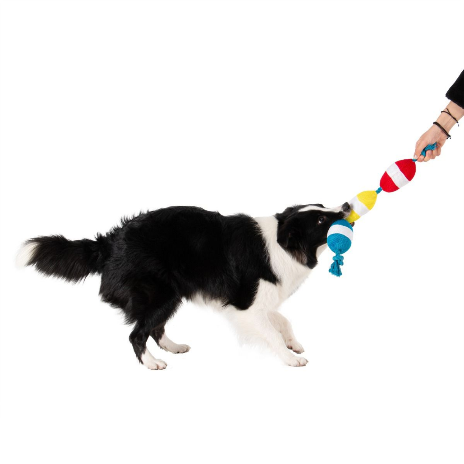 Territory Dog Rope Tug Toy Bouys - 22 inches