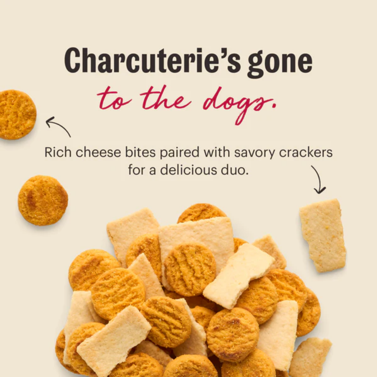 The Honest Kitchen Cheese and Crackers Crunchy Dog Treats, 3.5 oz