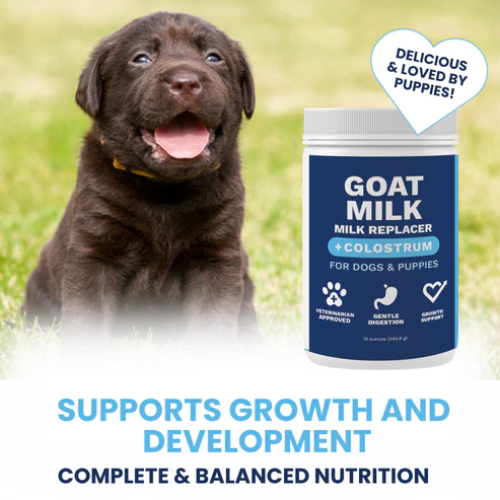 Under The Weather Goat Milk Replacer with Colostrum Powder for Puppies 12oz