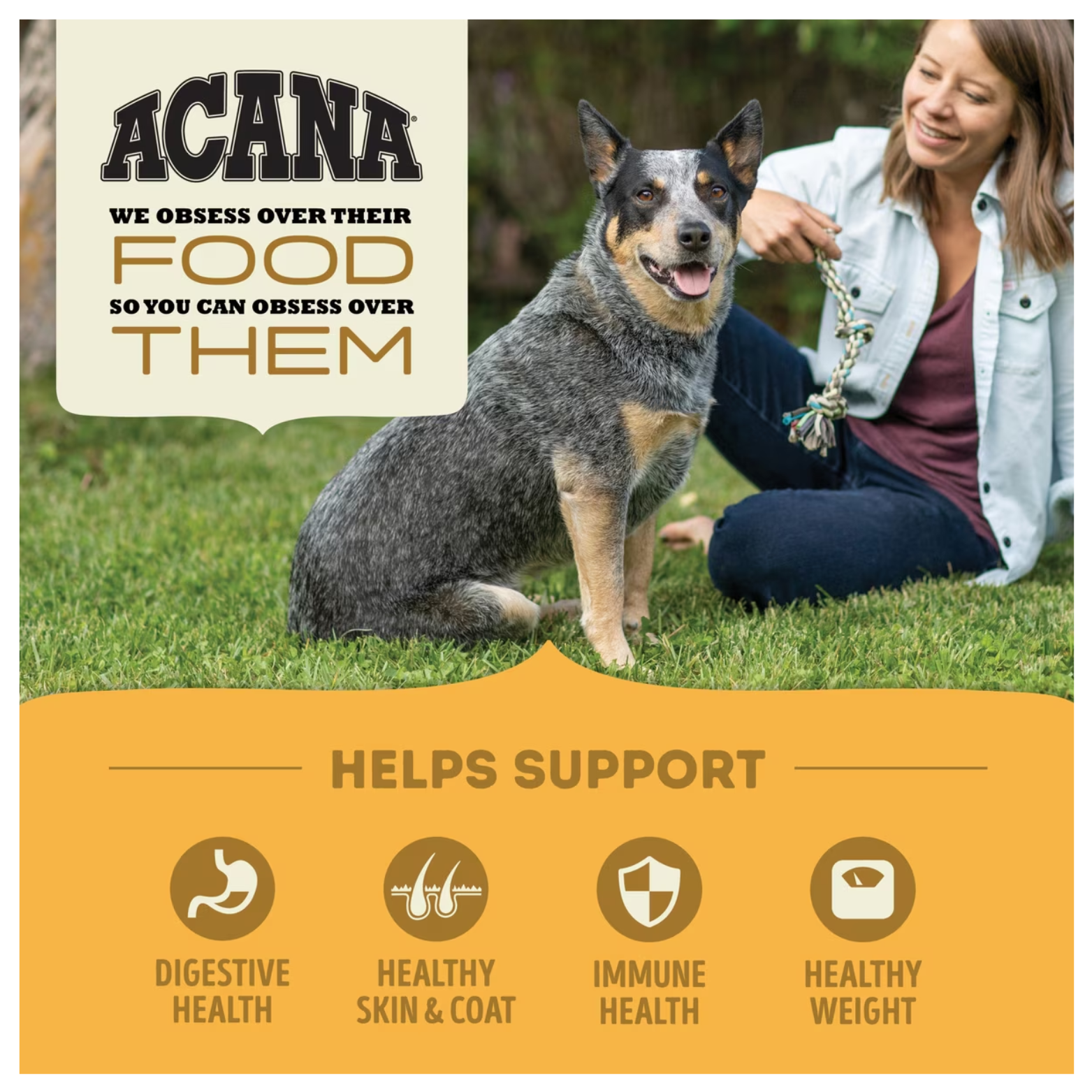 A woman kneeling on grass beside a medium-sized dog holding a rope toy. ACANA logo appears with text reading “We obsess over their food so you can obsess over them.” Icons below indicate support for digestive health, healthy skin and coat, immune health, and healthy weight.