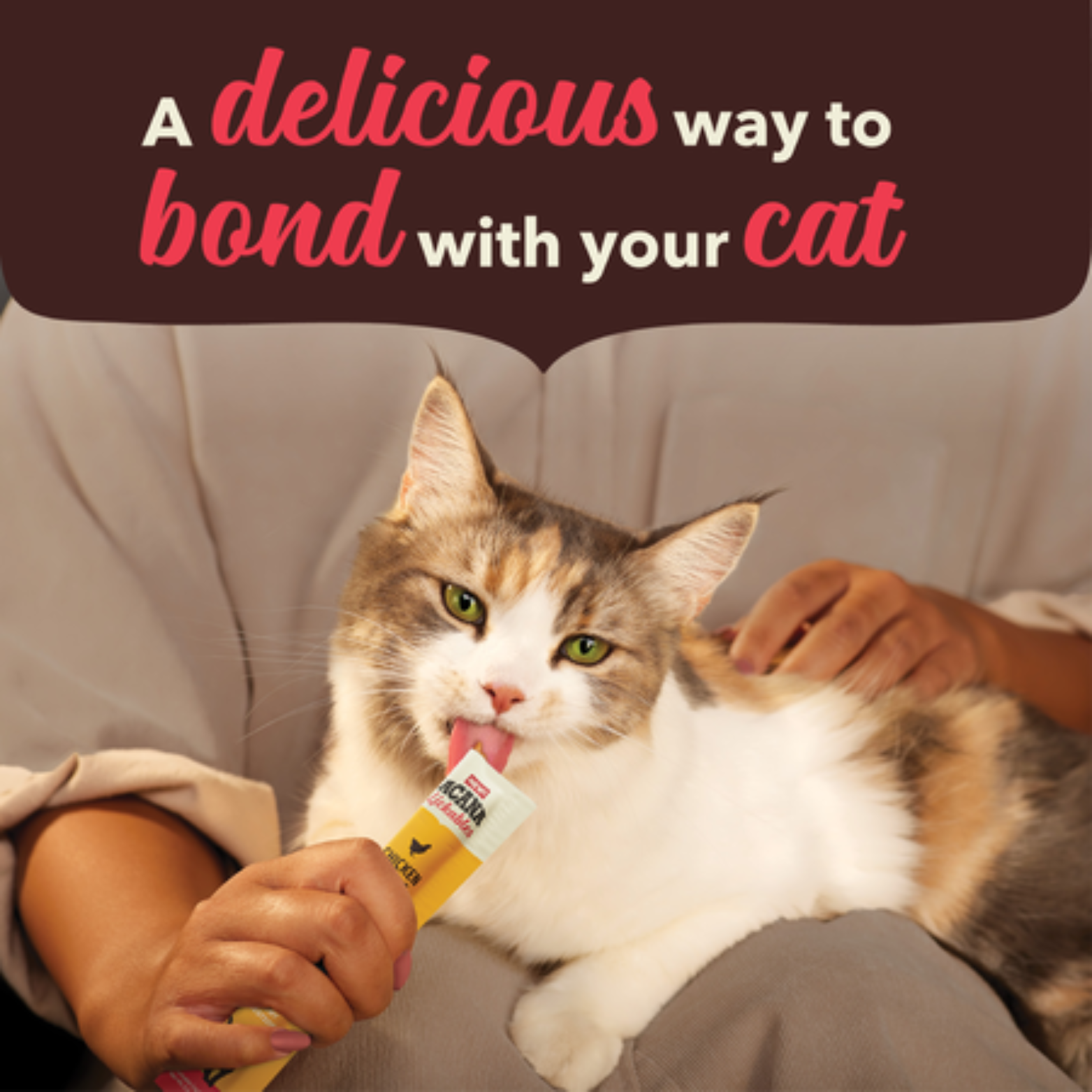 A cat licking an ACANA Lickables Chicken Recipe treat from a squeeze tube while resting on a person’s lap, with text reading “A delicious way to bond with your cat.”
