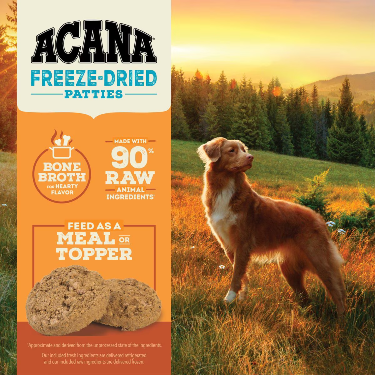 Promotional panel featuring a dog standing in a sunlit field with product callouts showing “Bone Broth for Hearty Flavor,” “90% Raw Animal Ingredients,” and “Feed as a Meal or Topper,” alongside images of two freeze-dried patties.