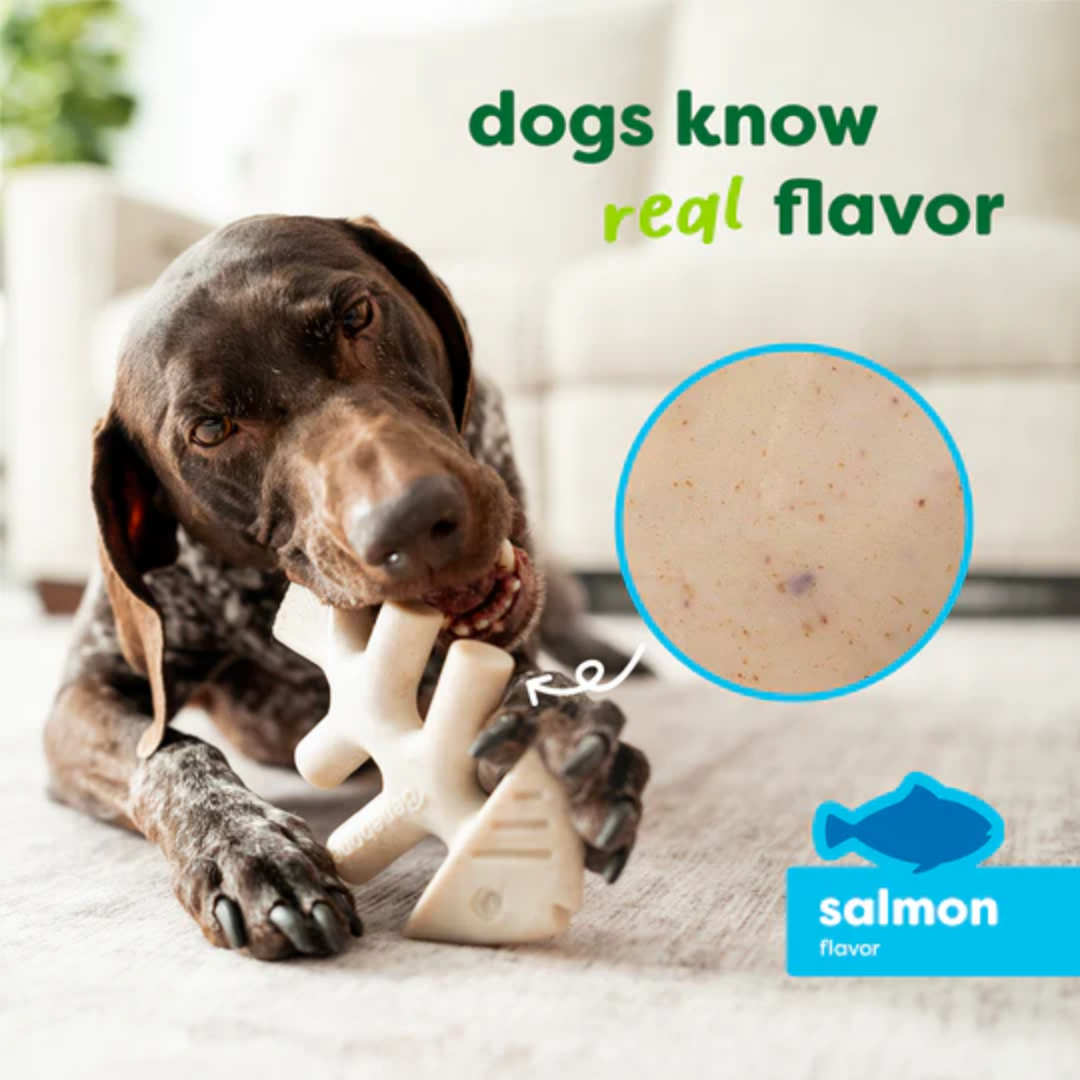 Benebone Eco Green Salmon Flavored Fishbone Dog Chew Toy