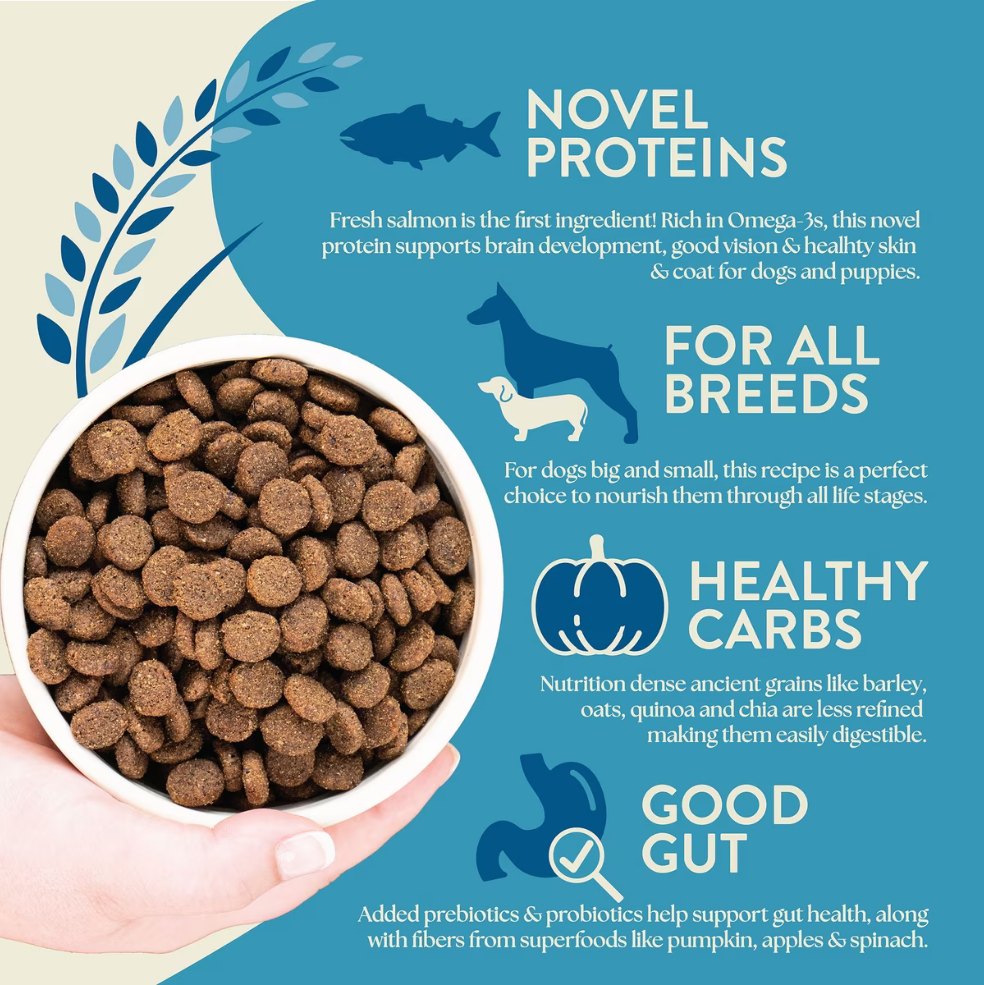 Earthborn Holistic Unrefined Smoked Salmon with Ancient Grains & Superfoods Dry Dog Food 4-lb