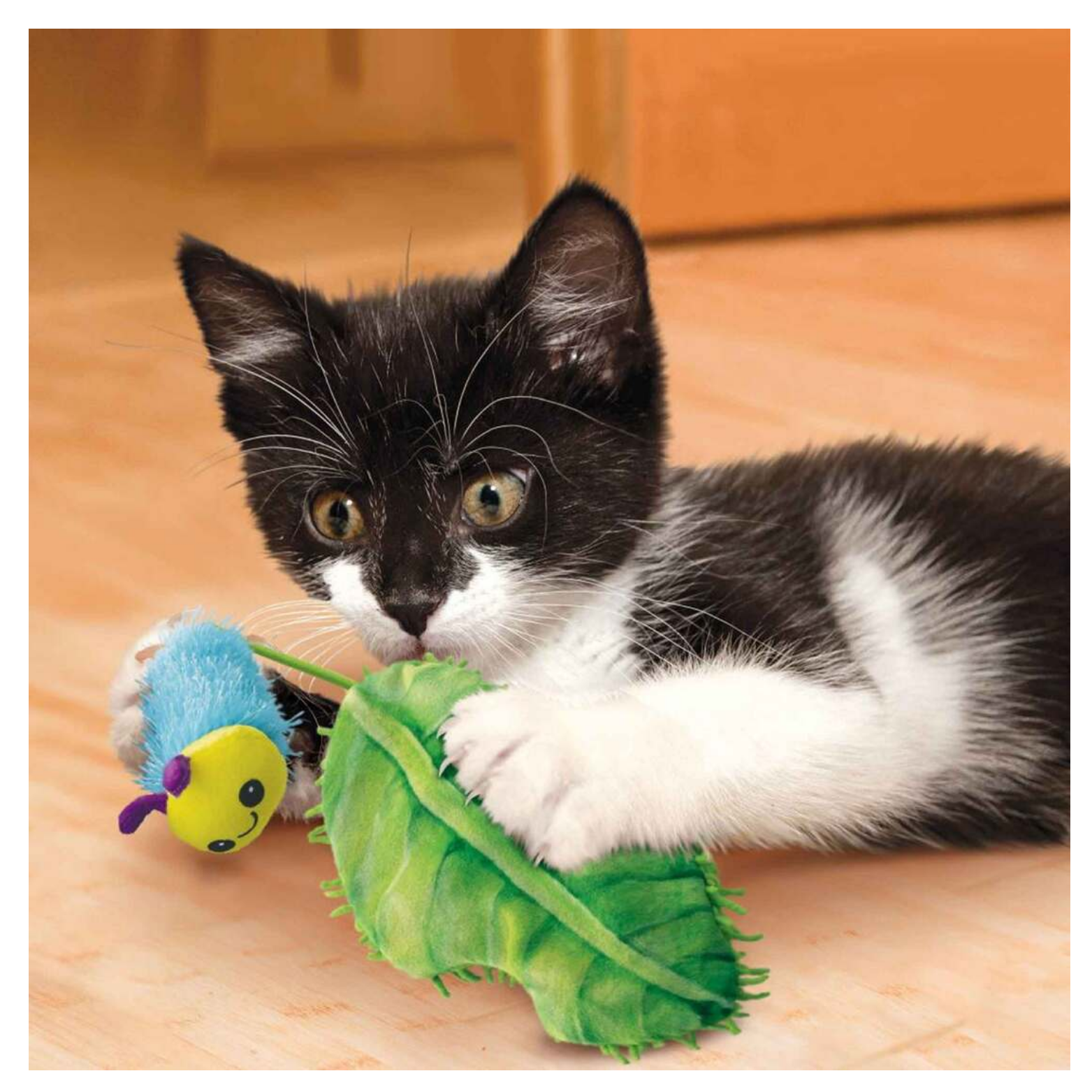 Black-and-white kitten lying on a wooden floor while holding and playing with the KONG Flingaroo Caterpillar catnip toy, gripping the green leaf and blue caterpillar with its paws.