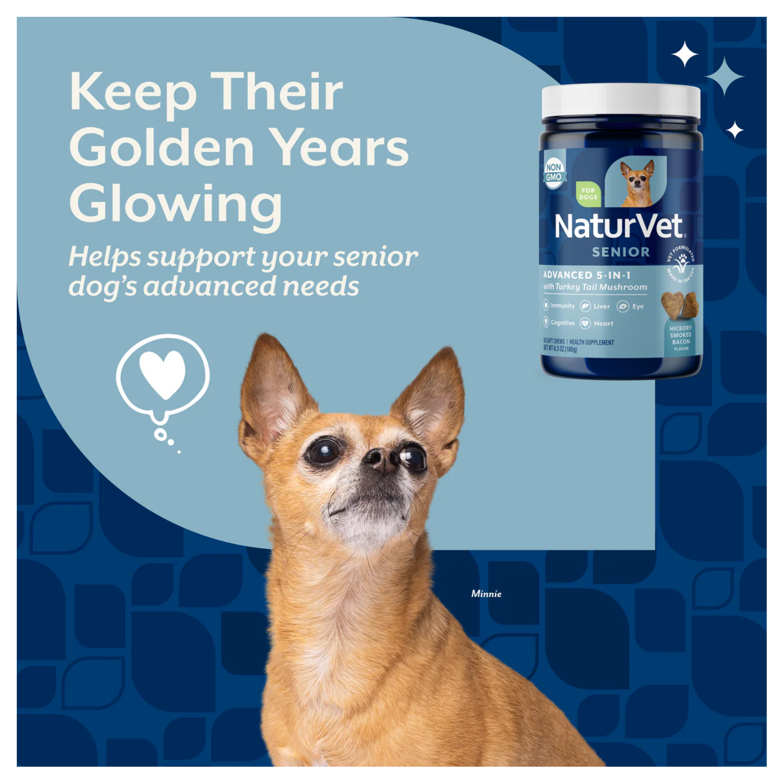 Promotional graphic reading “Keep Their Golden Years Glowing,” featuring a senior Chihuahua and an image of the NaturVet Senior Advanced 5-in-1 supplement container.