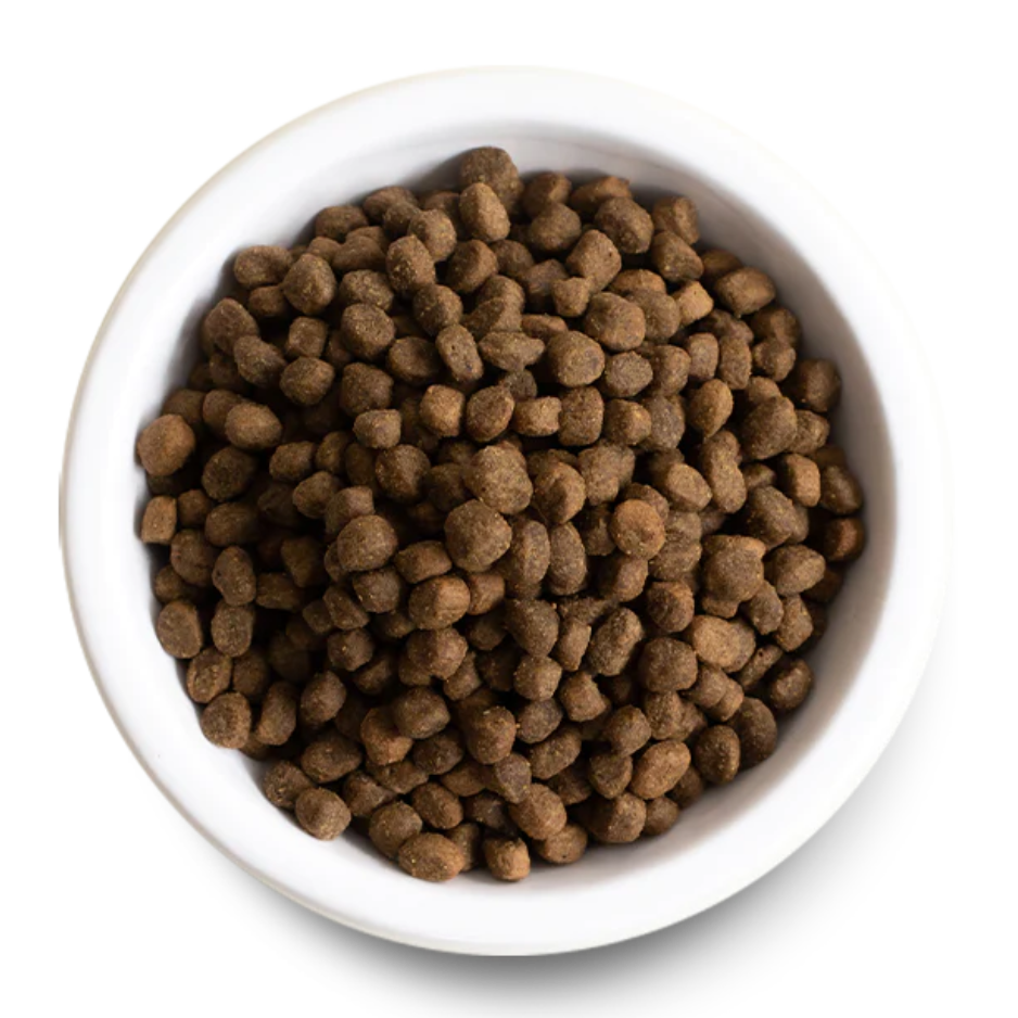 Open Farm Chicken & Salmon Ancient Grains High-Protein Puppy Dry Dog Food