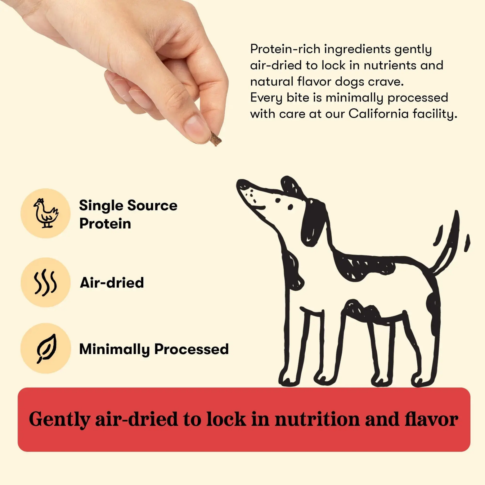 Plato Air Dried Chicken Training Bites 6oz