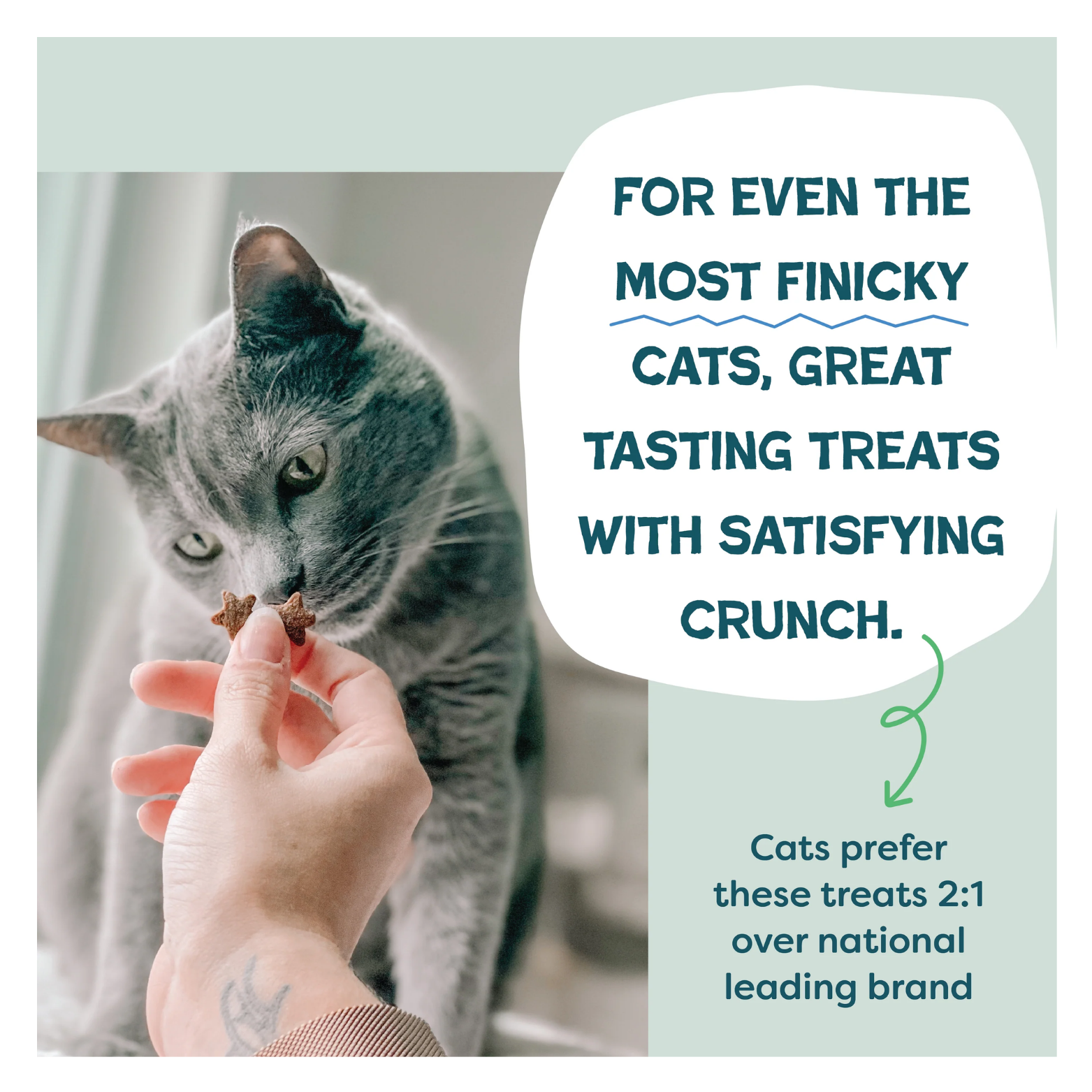 A gray cat sniffing a star-shaped treat held between a person’s fingers. Text reads, “For even the most finicky cats, great tasting treats with satisfying crunch.” Additional text notes that cats prefer these treats 2:1 over a national leading brand.