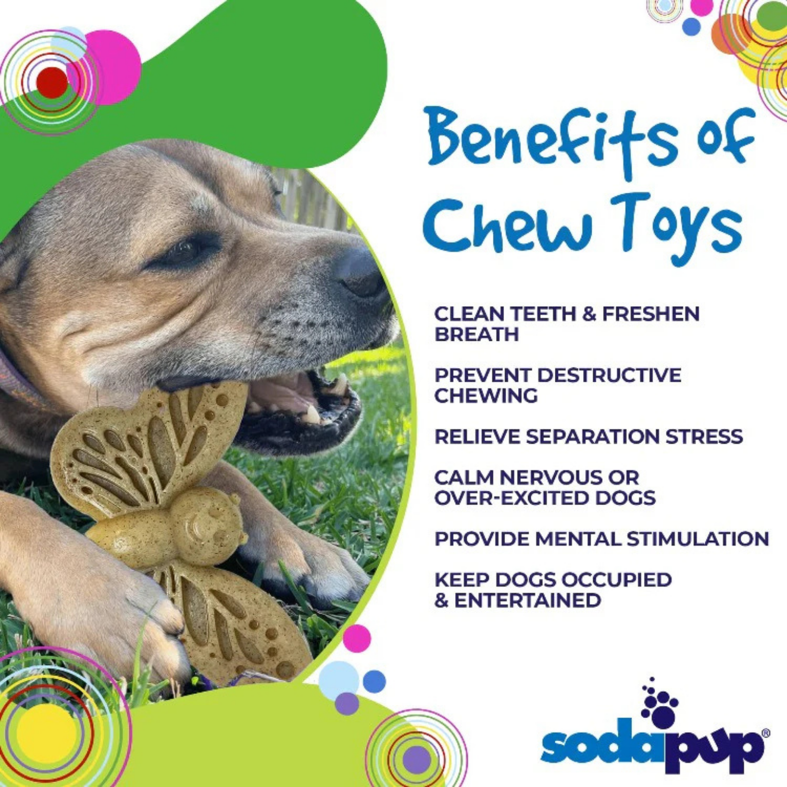 SodaPup Butterfly Ultra Durable Nylon Dog Chew & Enrichment Toy