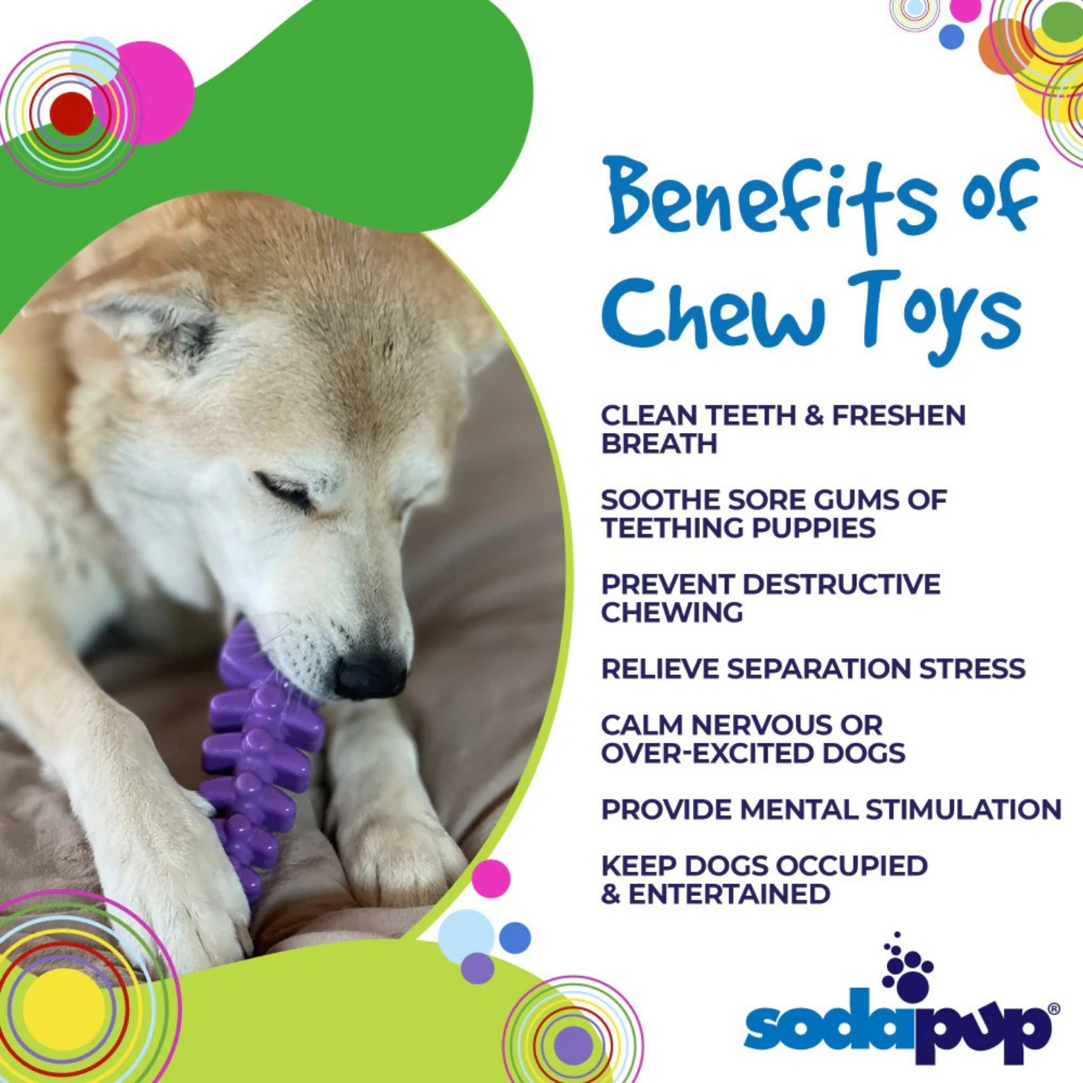 SodaPup Fish Bone Ultra Durable Nylon Dog Chew Toy