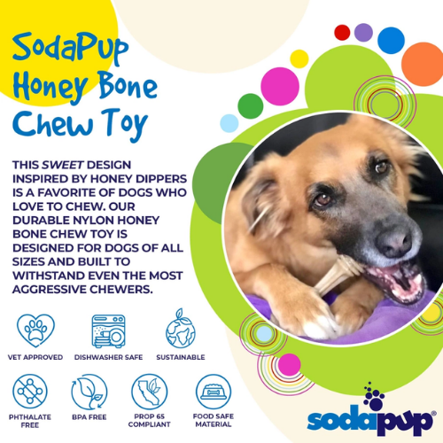 SodaPup Honey Bone eChew Durable Nylon Dog Chew Toy