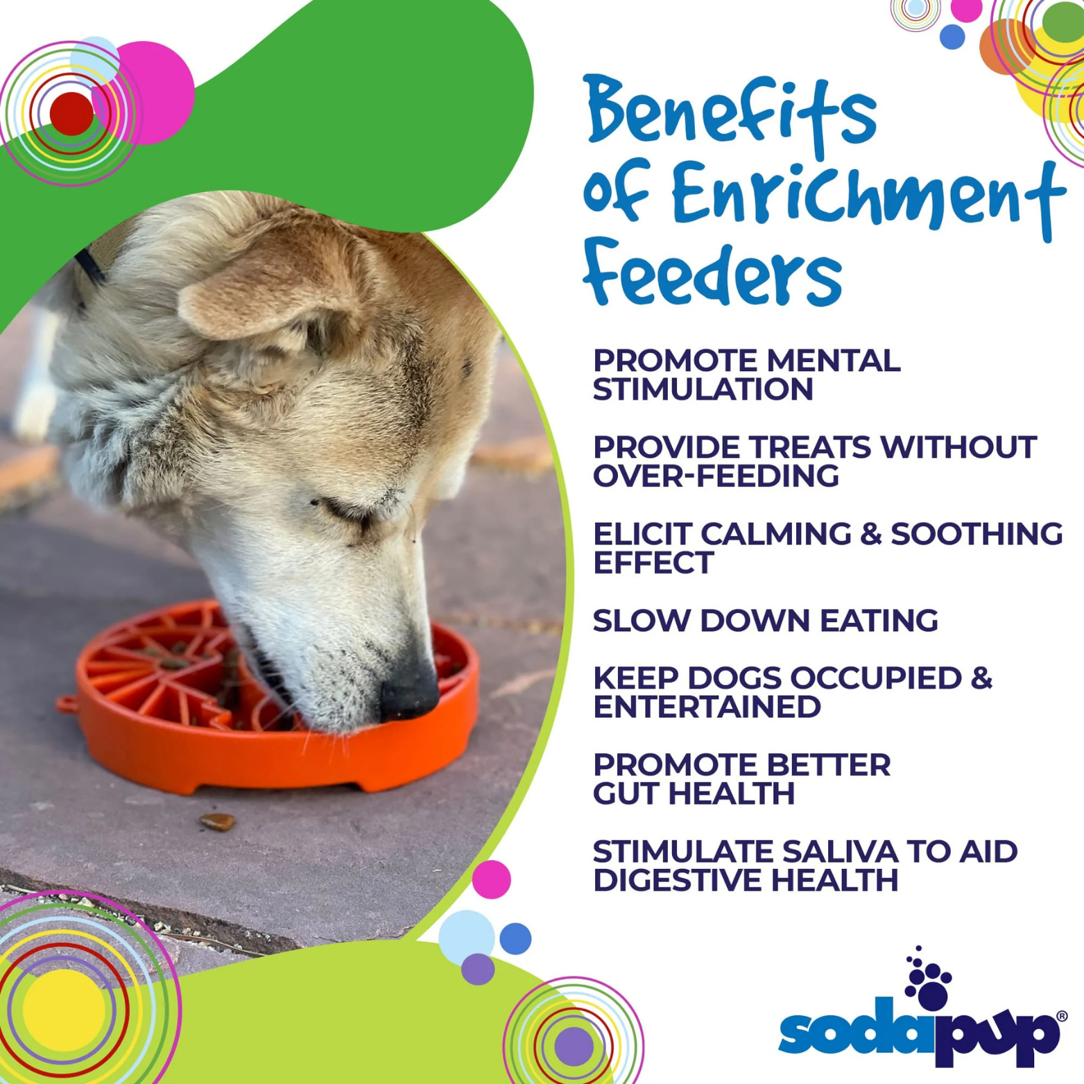 SodaPup Sun & Moon Design Etray Enriching Shallow Slow Feeder for Dogs- Green