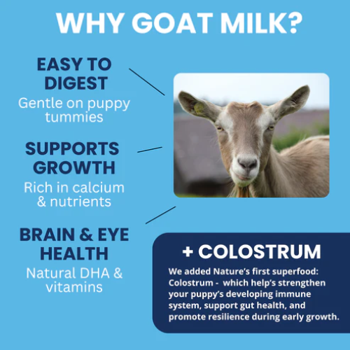 Under The Weather Goat Milk Replacer with Colostrum Powder for Puppies 12oz