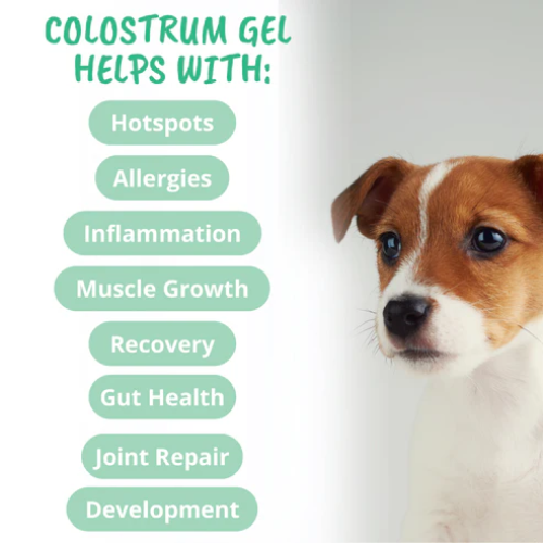 Under The Weather Vital Colostrum Squeezable Gel for Dogs 3.5oz