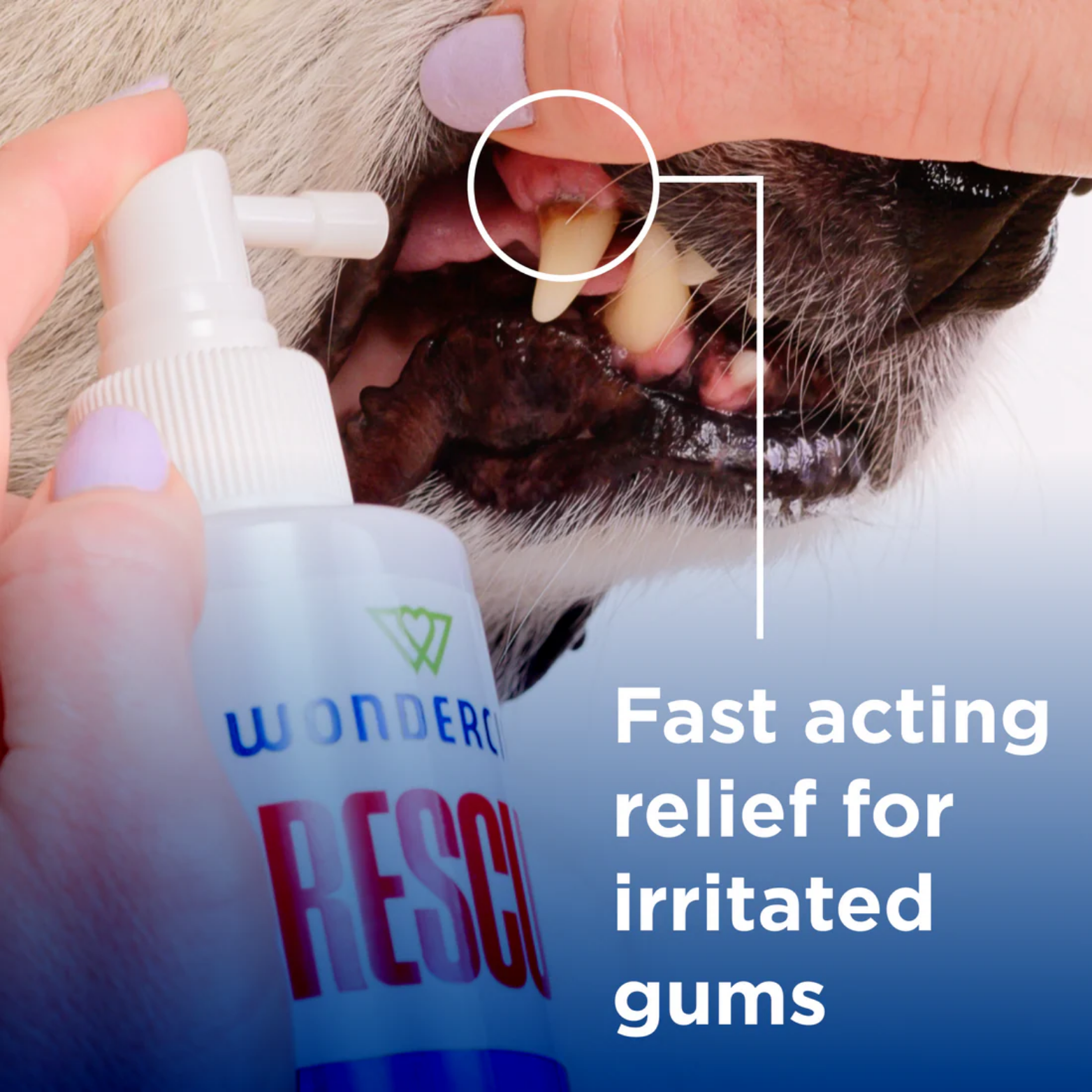 Wondercide Dog & Cat Rescue Oral Spray 8.5oz