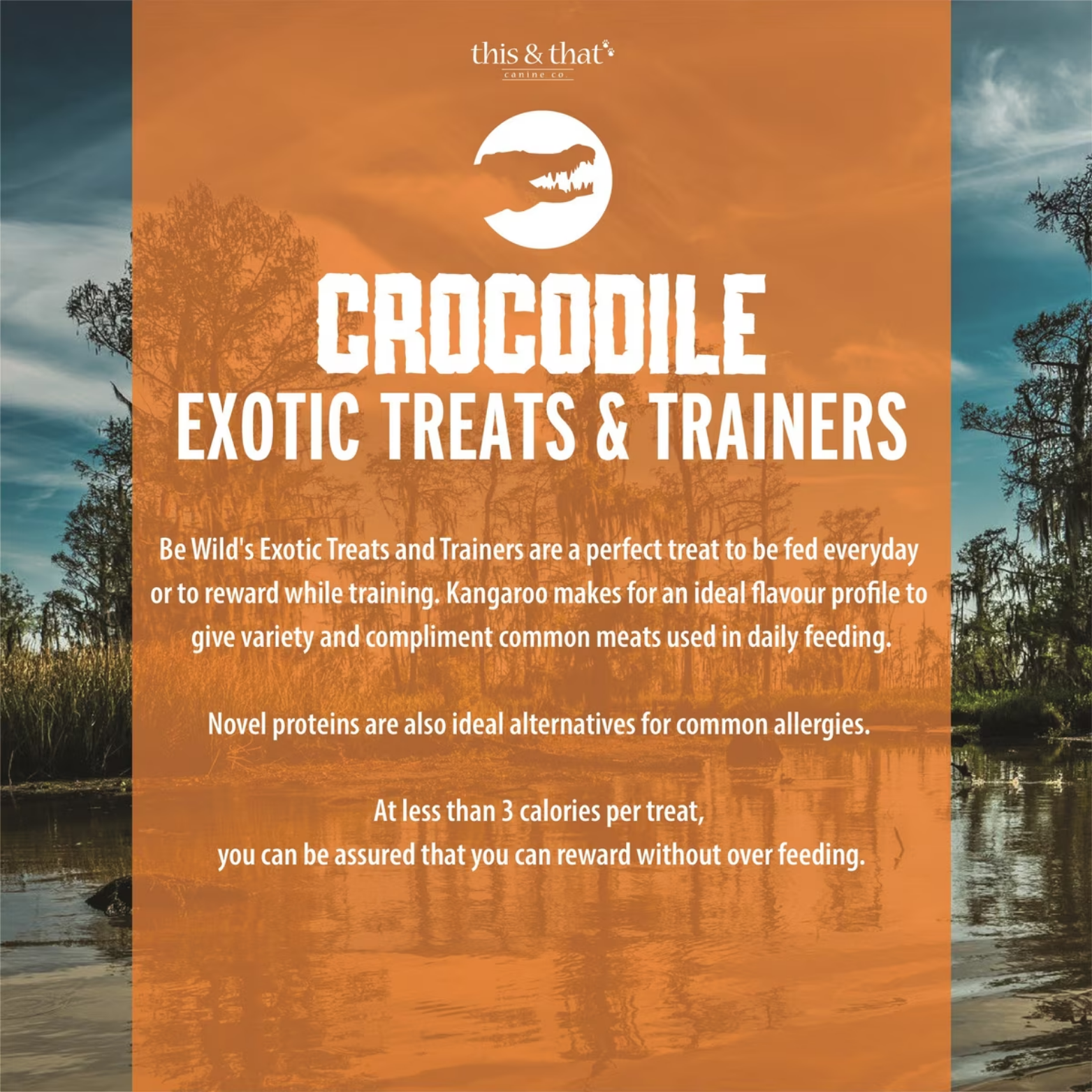 This & That Be Wild Exotic Treats & Trainers Crocodile Dog Treats 5.3oz