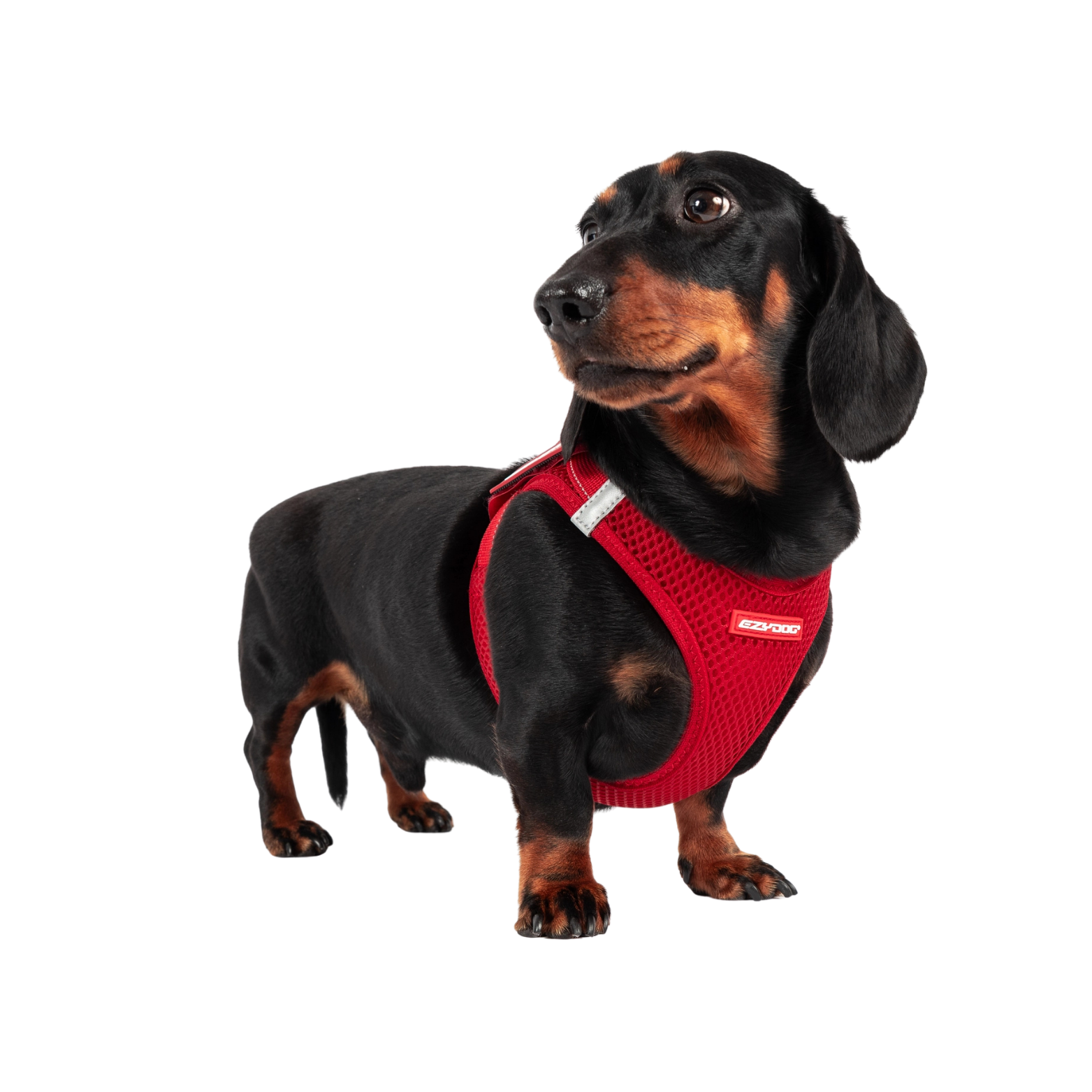 Ezydog Formfit Harness, Pink