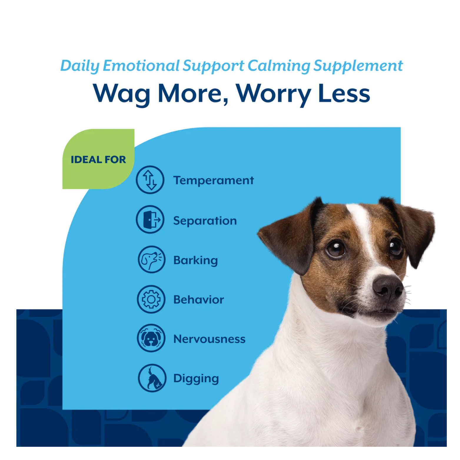 Informational graphic titled “Wag More, Worry Less” listing ideal uses such as temperament, separation, barking, behavior, nervousness, and digging, with a dog image on the right.