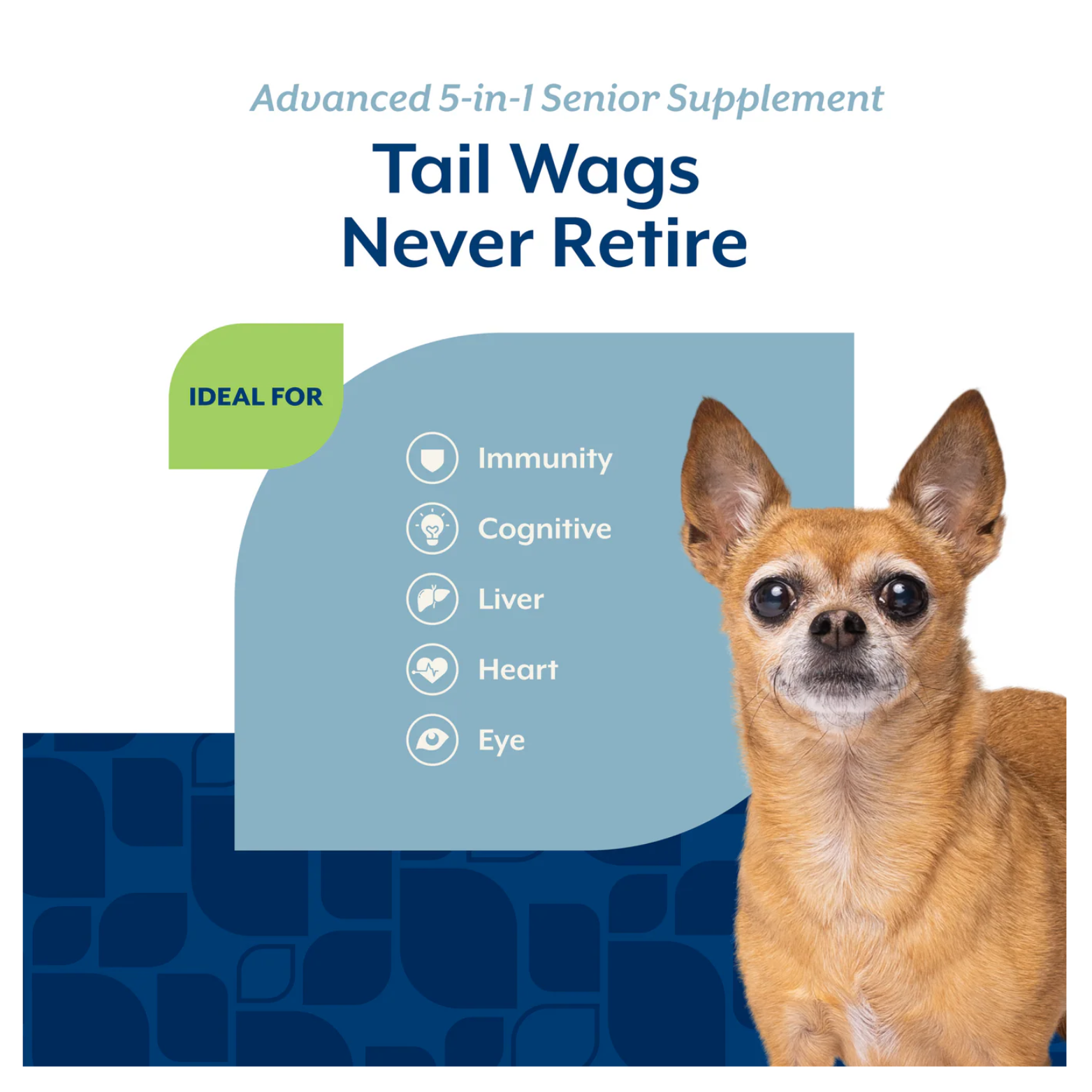 Informational graphic titled “Tail Wags Never Retire,” listing benefits for immunity, cognitive, liver, heart, and eye health, with a senior Chihuahua shown on the right.